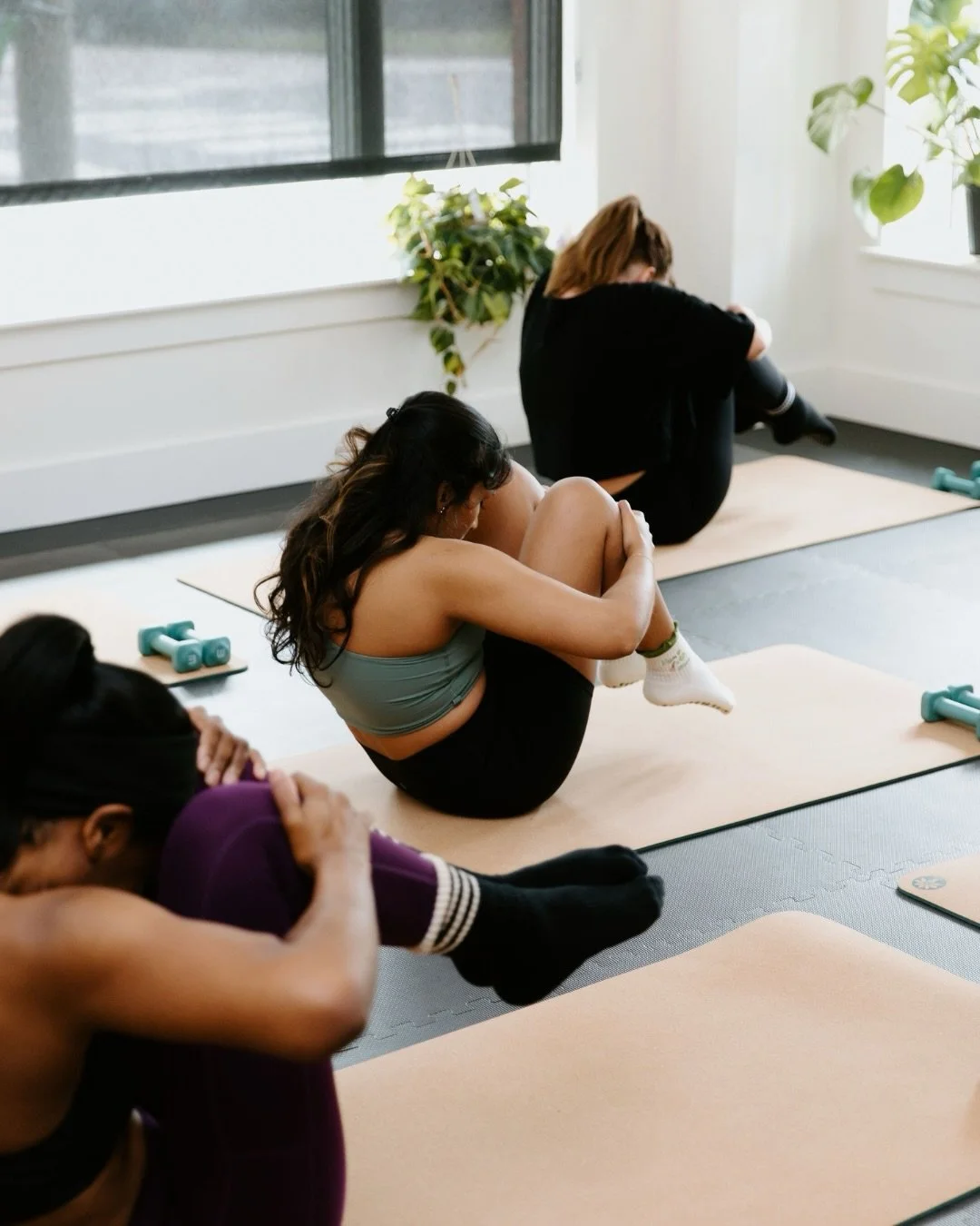 You can come out of your shell here @baxterpilates