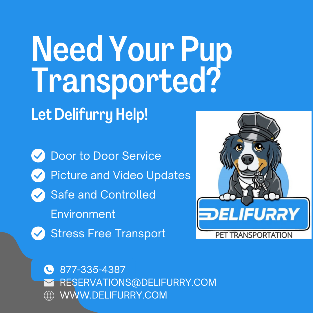 Pet Transport banner checklist