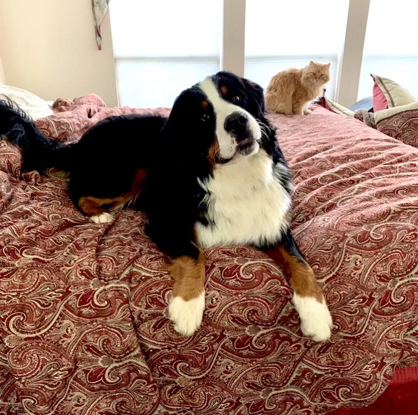 Khal bed.jpg