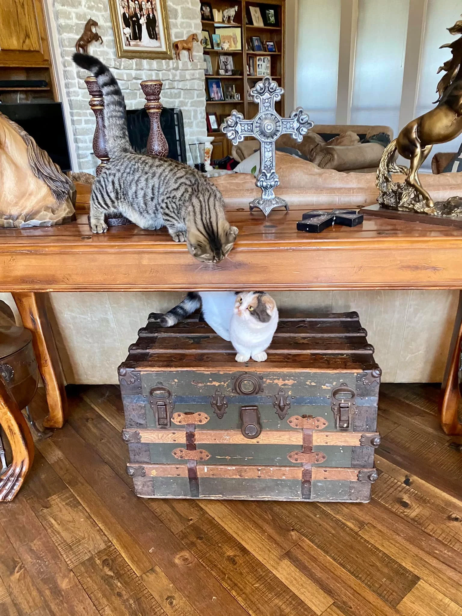 A living room scene with two cats, one climbing over a wooden table and the other sitting on a vintage trunk. The background features a brick fireplace, a bookshelf, and various decorative items, including a cross and statue.