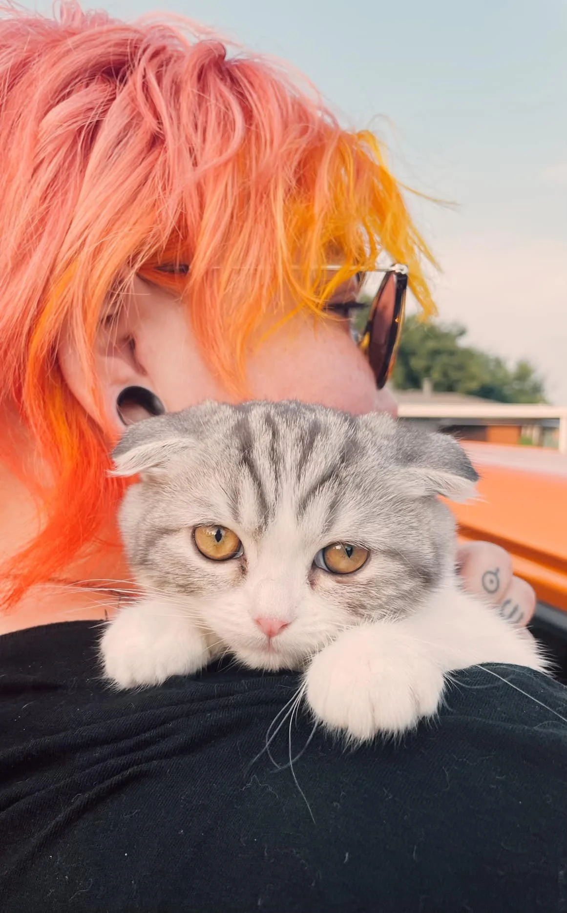 A person with vibrant orange hair and sunglasses holding a cute gray and white kitten with golden eyes.