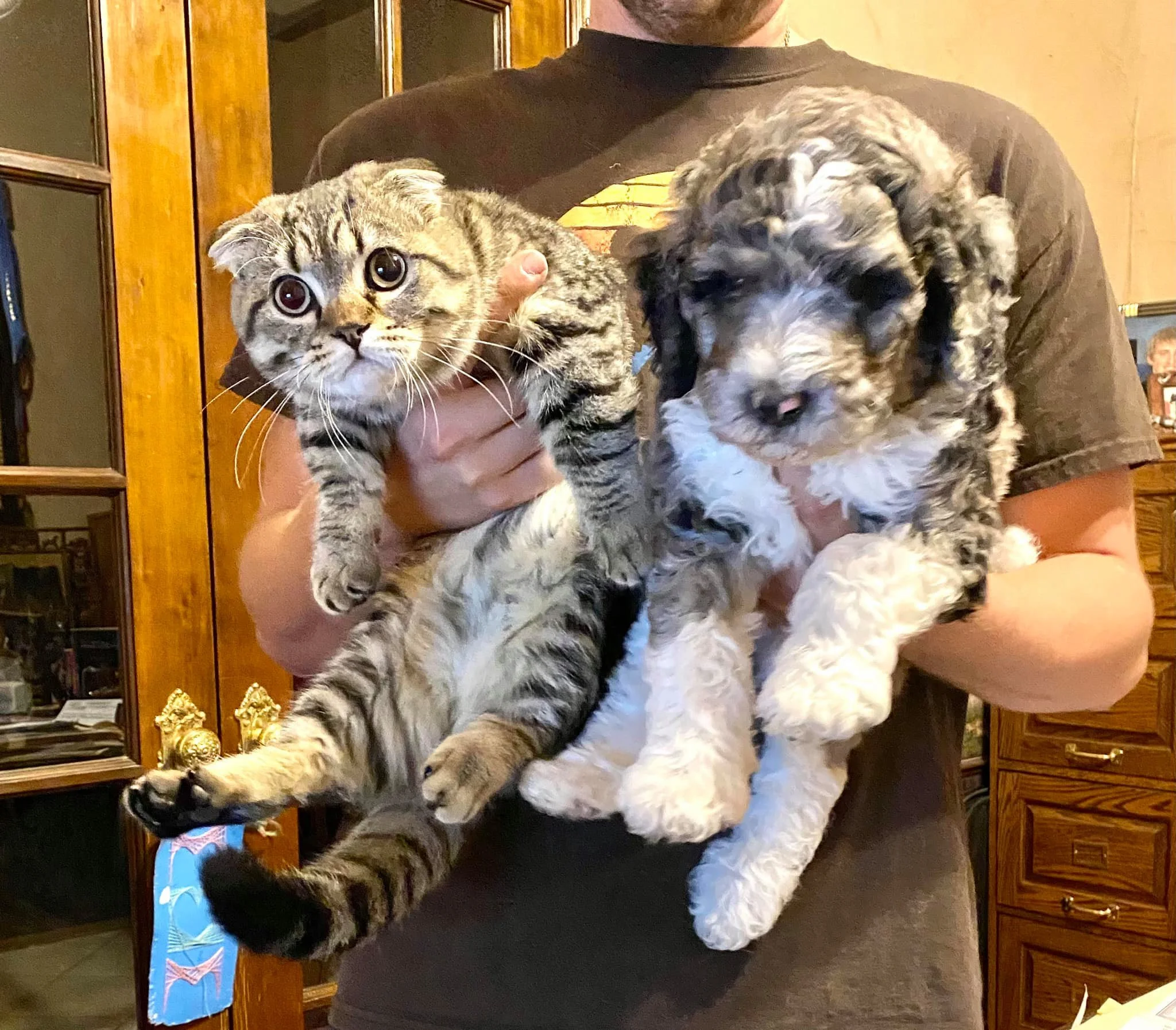 Bruno and Winnie (now Bernie at his furrever home) say hi!