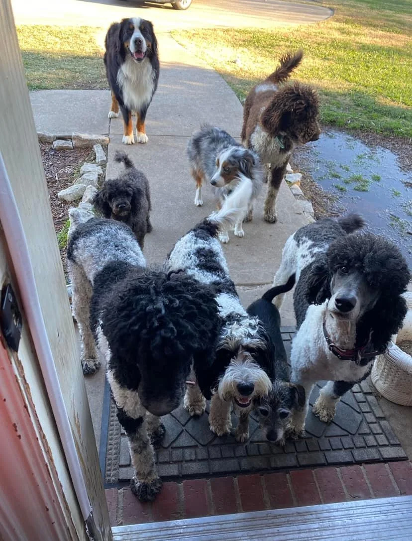 Everybody wants inside!