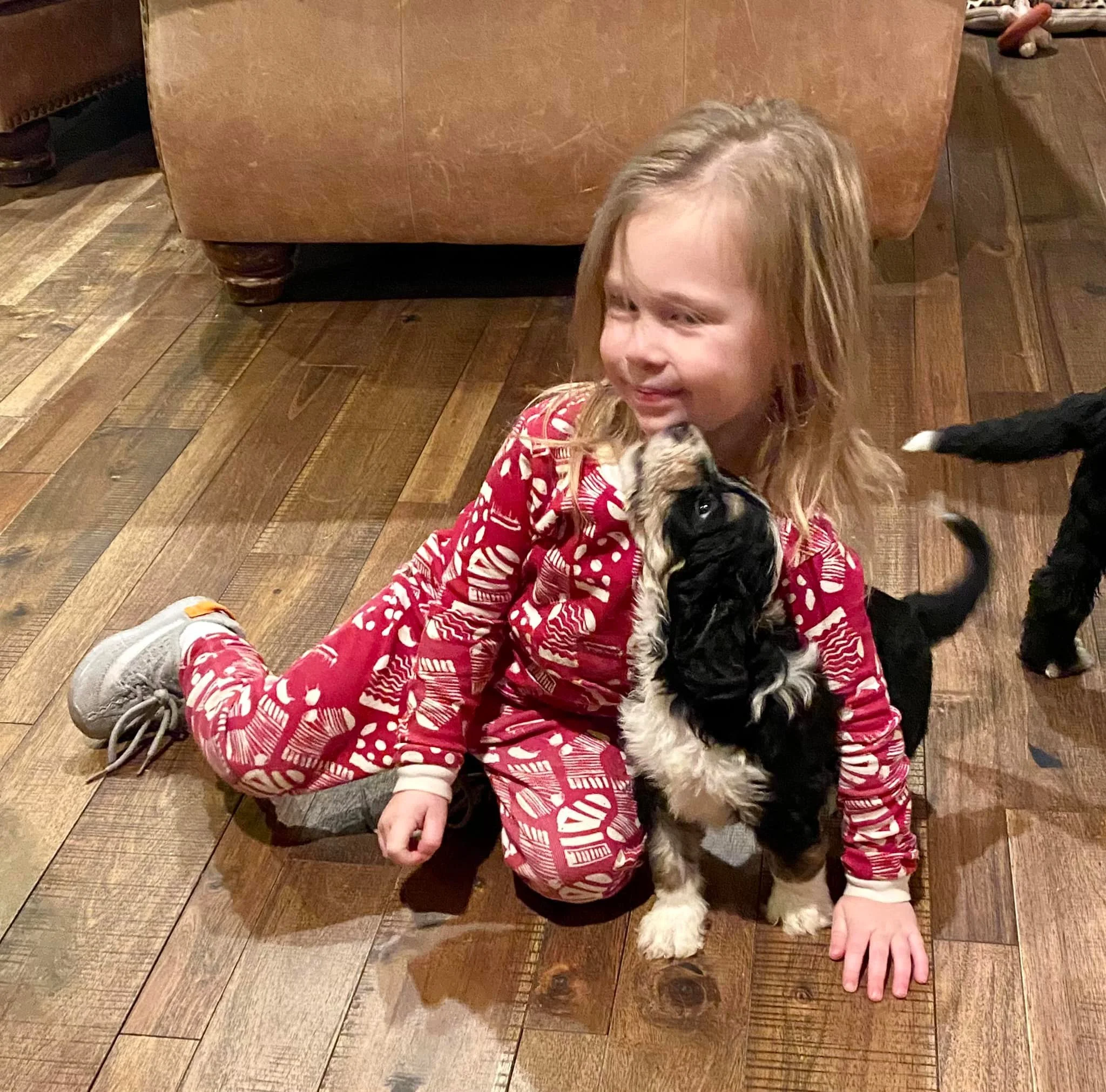 Sweet Mila playing in the living room with our pups.
