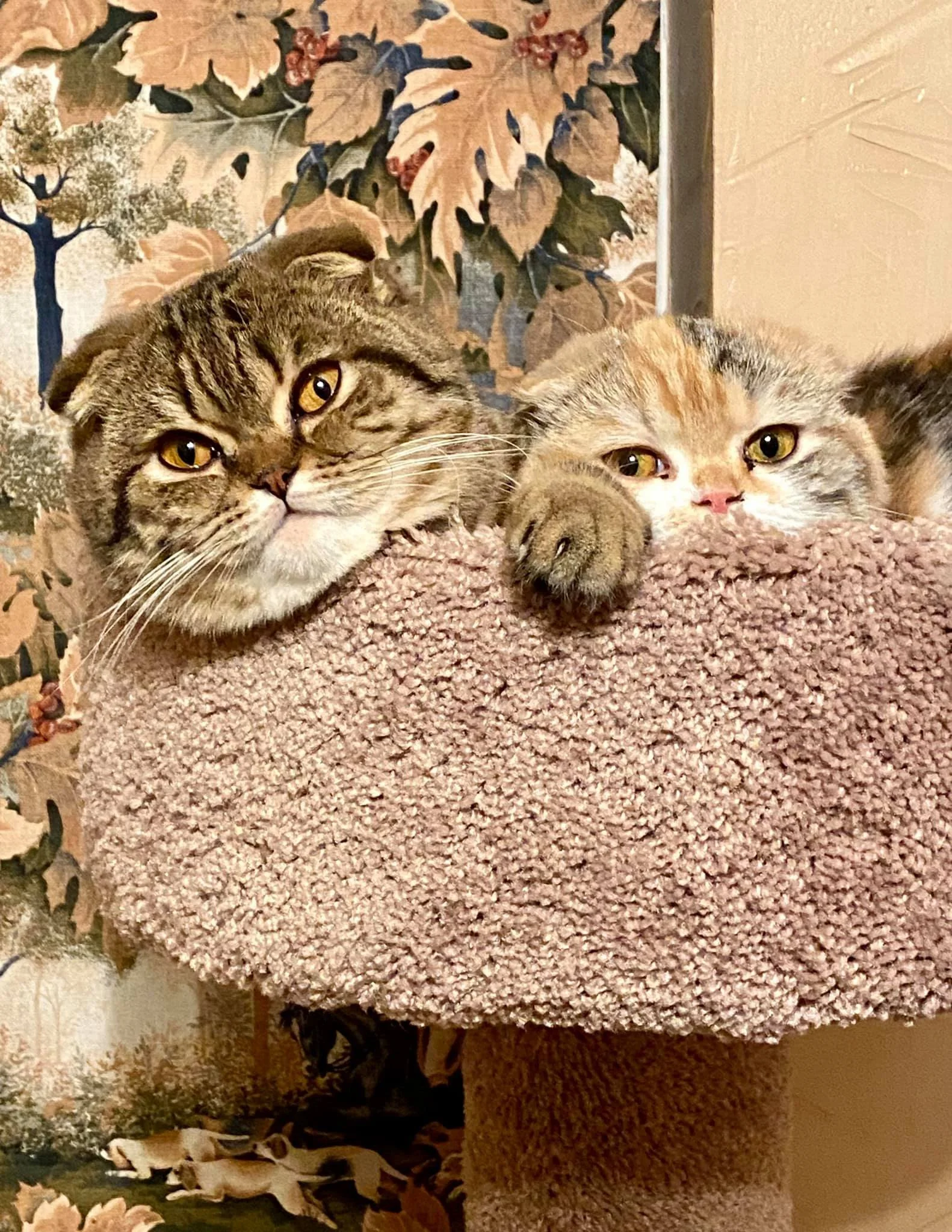 Pretzels and Pringles