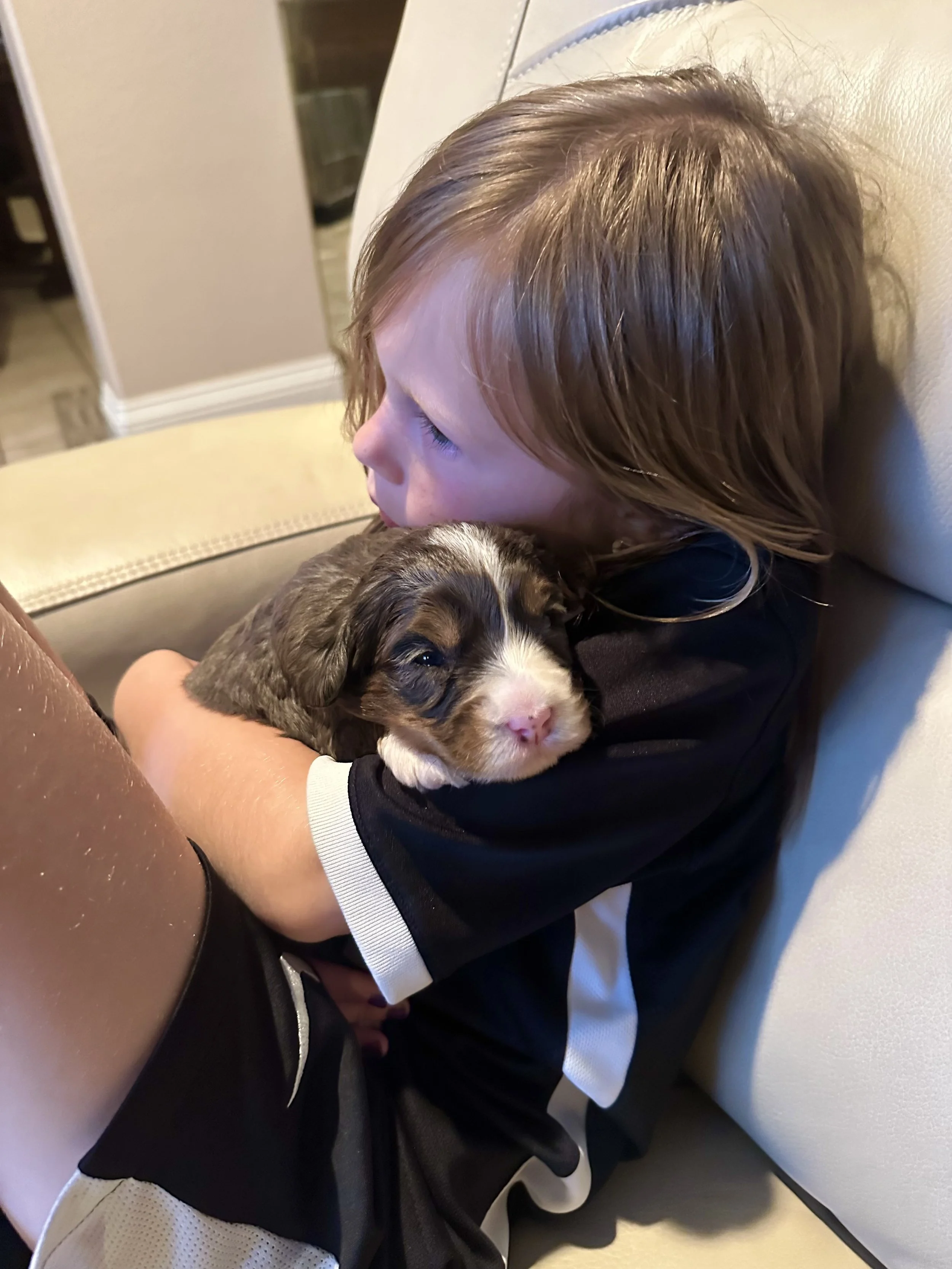 A young child with brown hair is sitting on a cream-colored couch, hugging a small, brown and white puppy with floppy ears and blue eyes.
