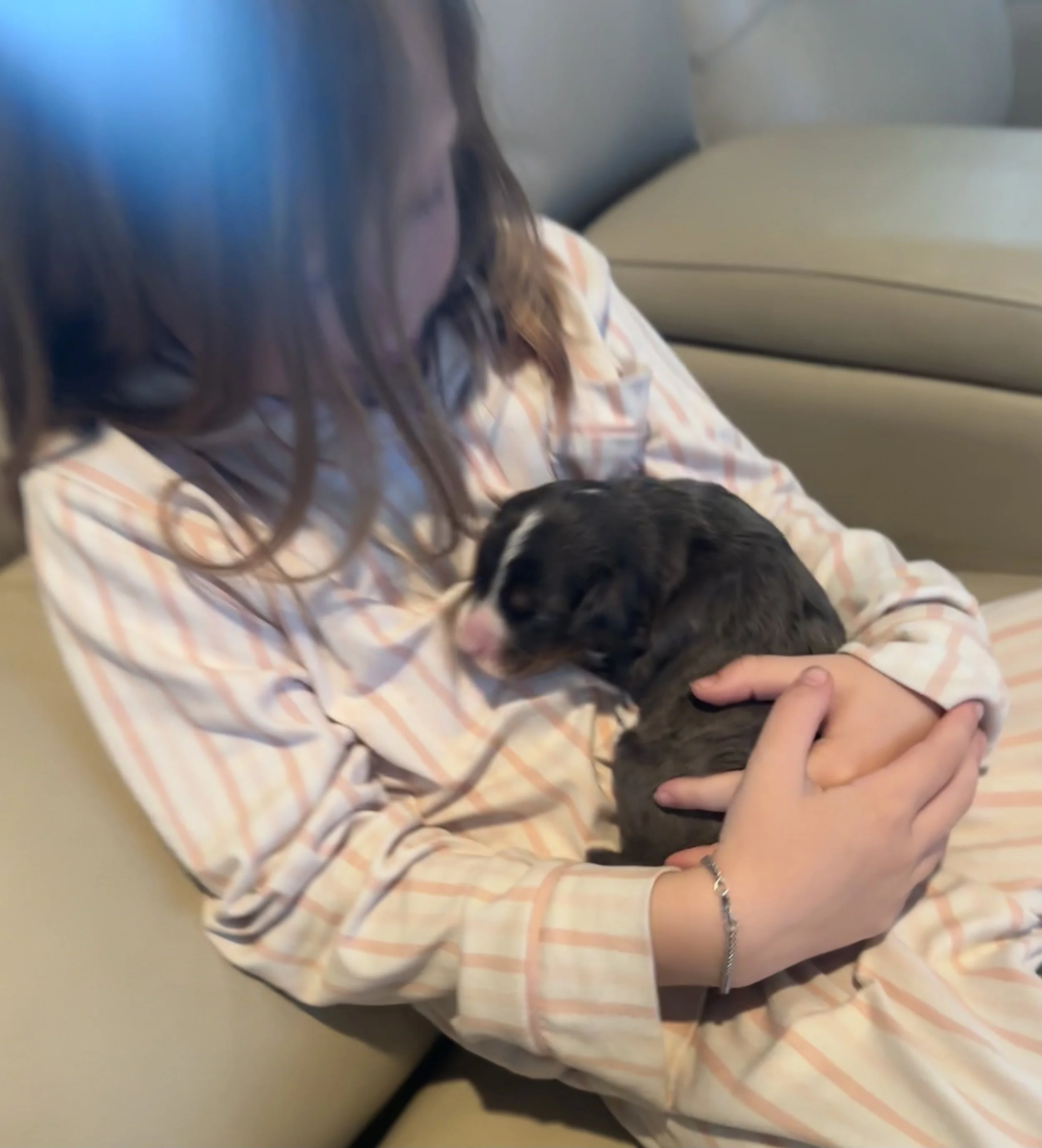 A person with long, wavy hair sitting on a beige couch, holding a small black and white puppy in their lap.