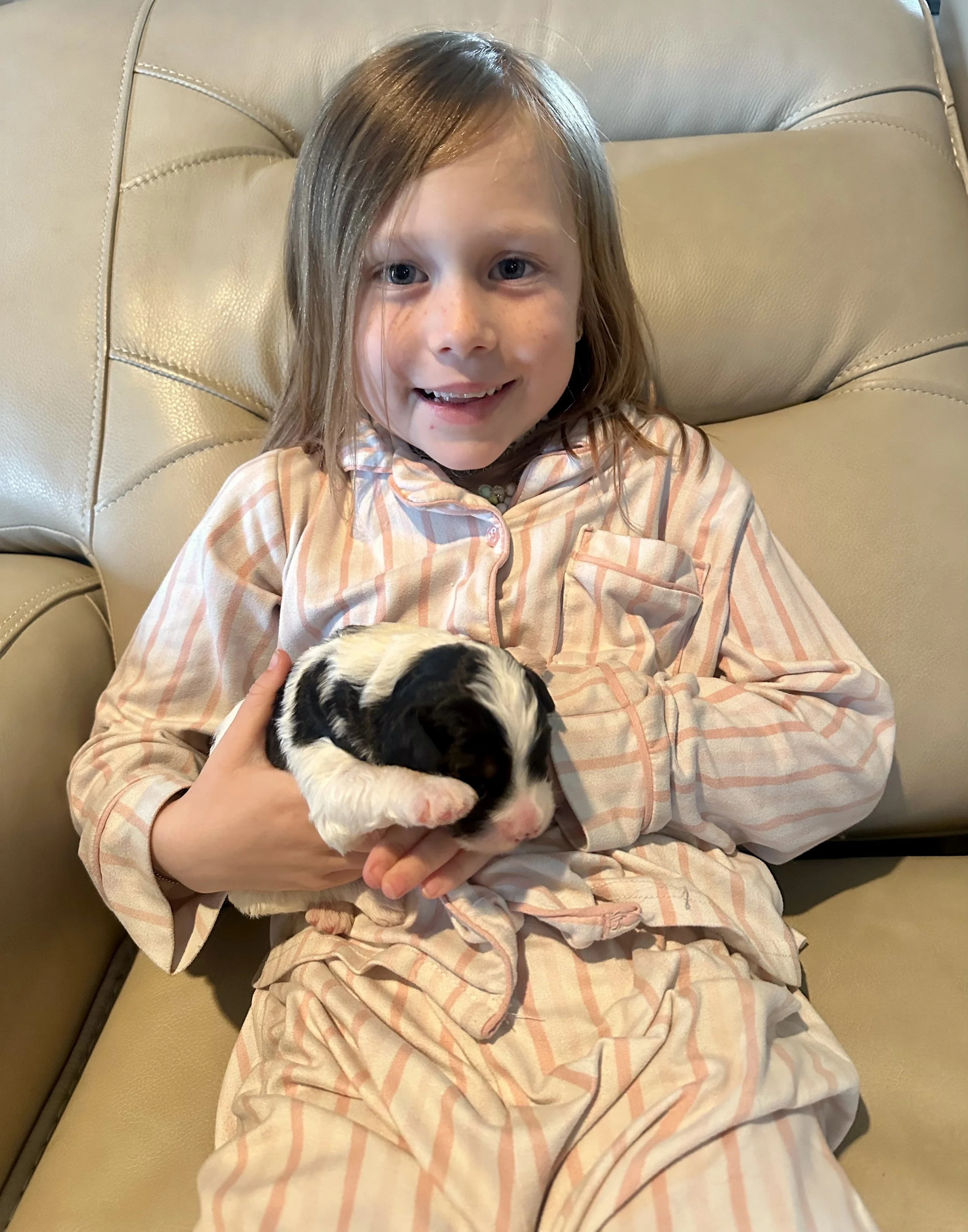 A young girl with long light brown hair and blue eyes, wearing striped pajamas, is sitting on a beige leather couch. She is smiling and holding a small black and white puppy in her hands.