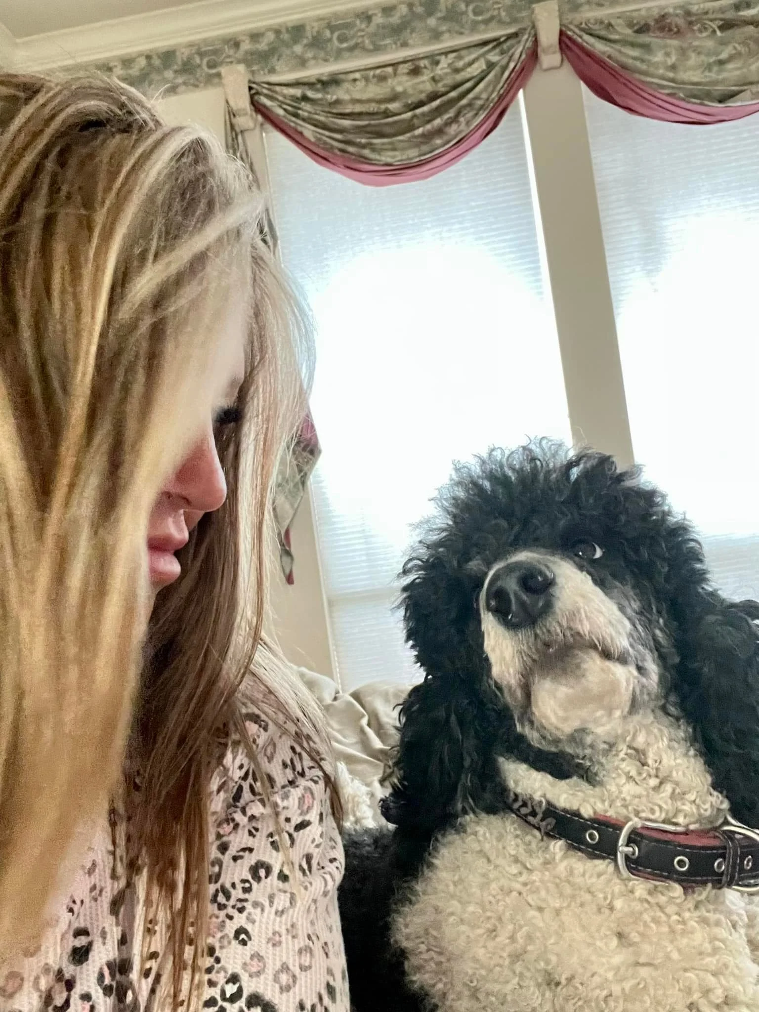 A woman with long blonde hair and a pink leopard print top sitting close to a black and white curly-haired dog, inside a room with large windows and pink and patterned curtains.