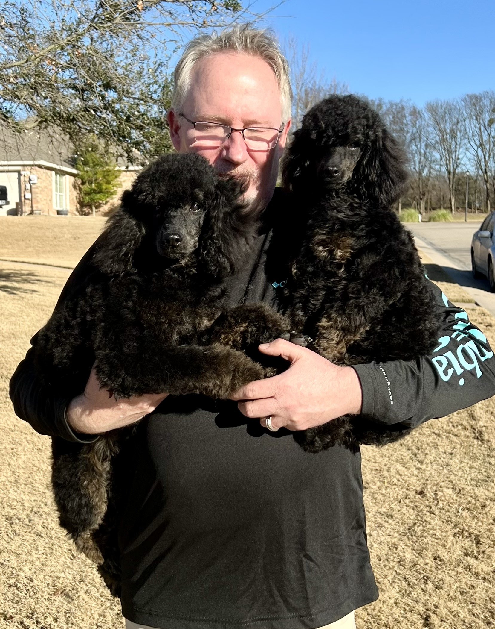 A man wearing glasses holding two black poodle puppies outdoors on a sunny day.