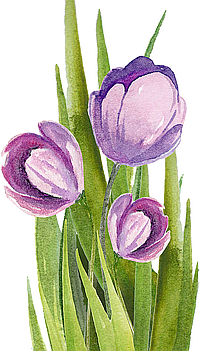 An Easter Celebration