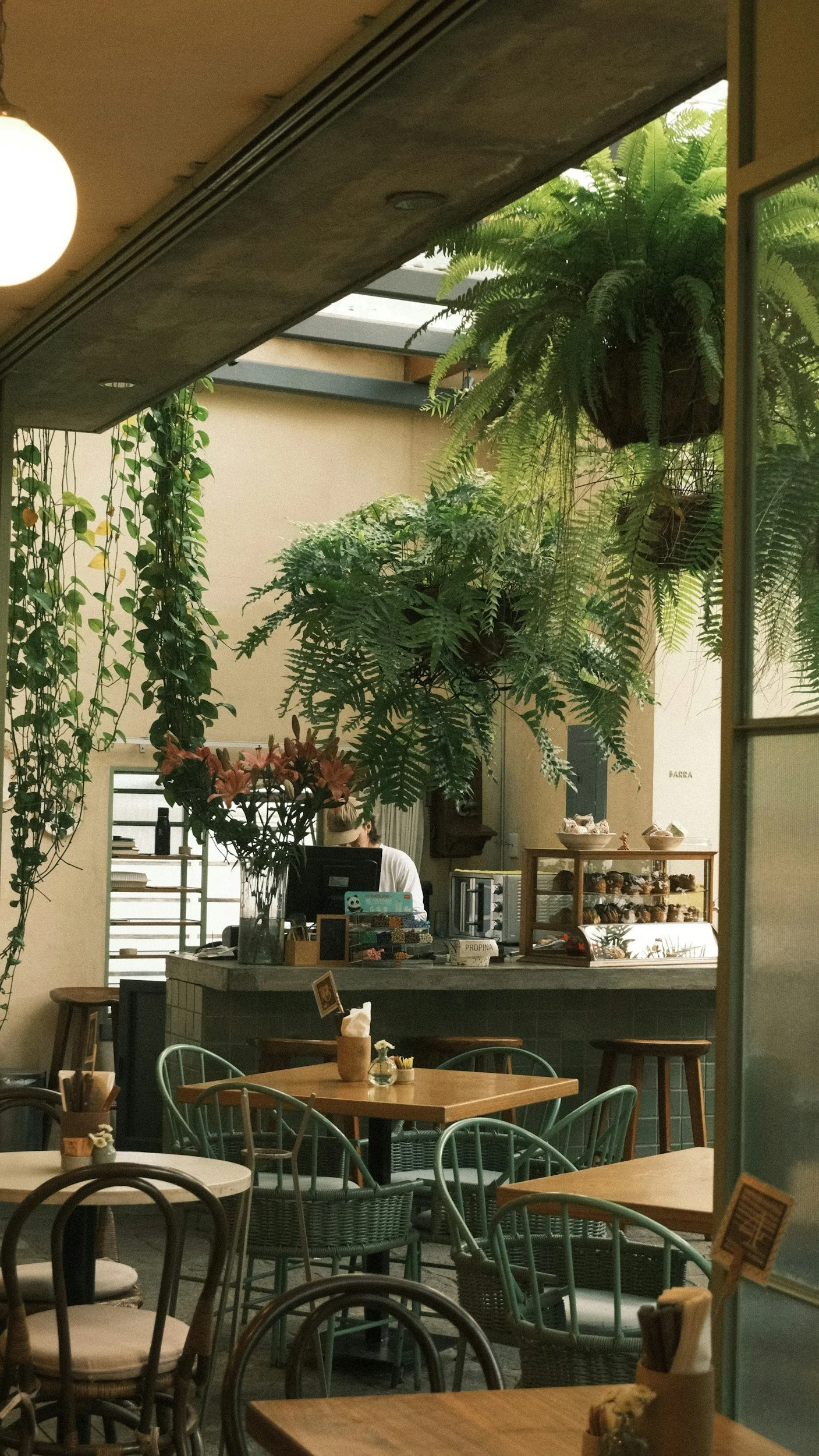 Inside a cozy cafe with wooden tables, green chairs, large hanging plants, and a counter with a barista, glass display case, and flowers.