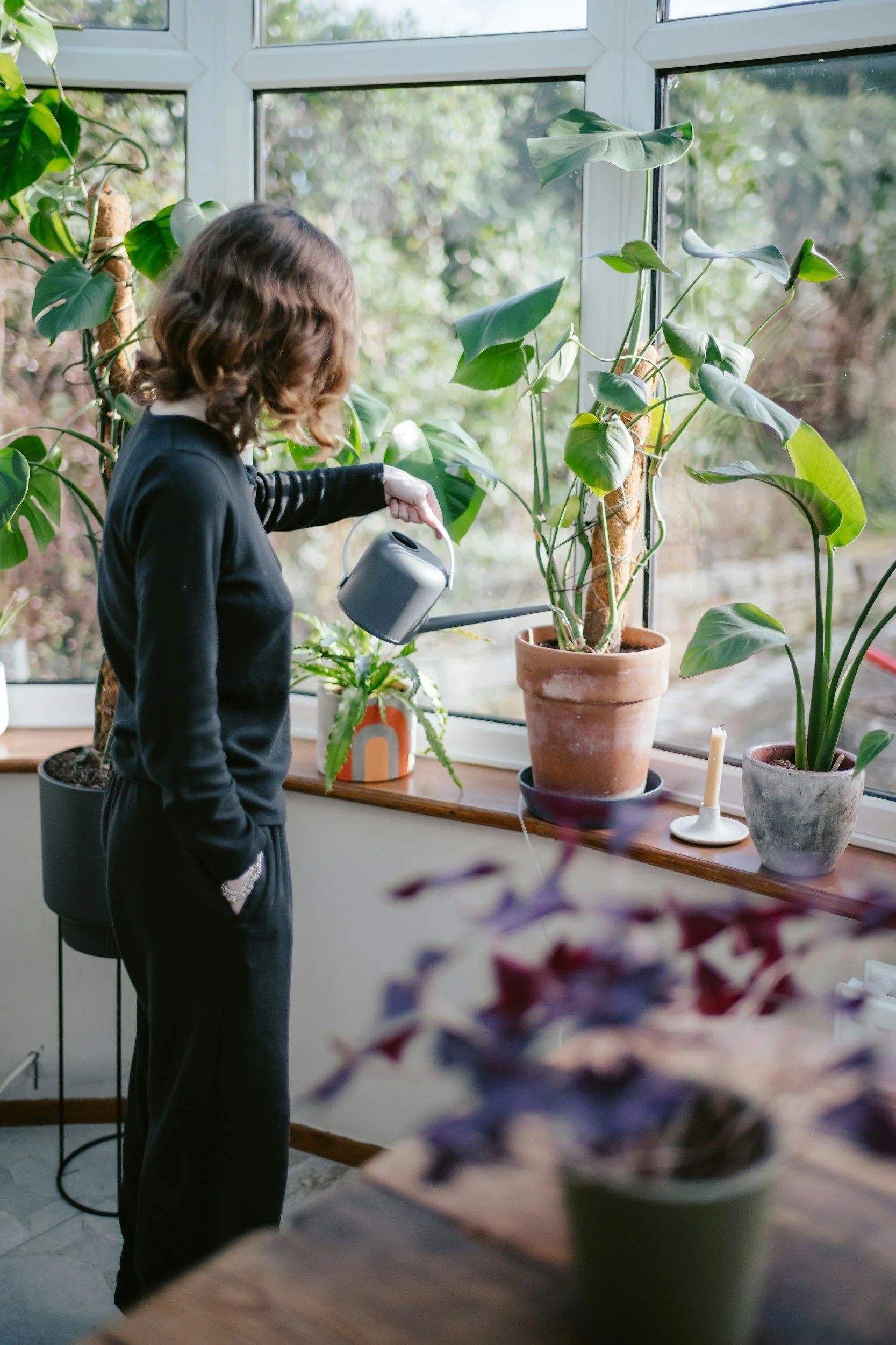 A person watering houseplants on a windowsill in a bright room.