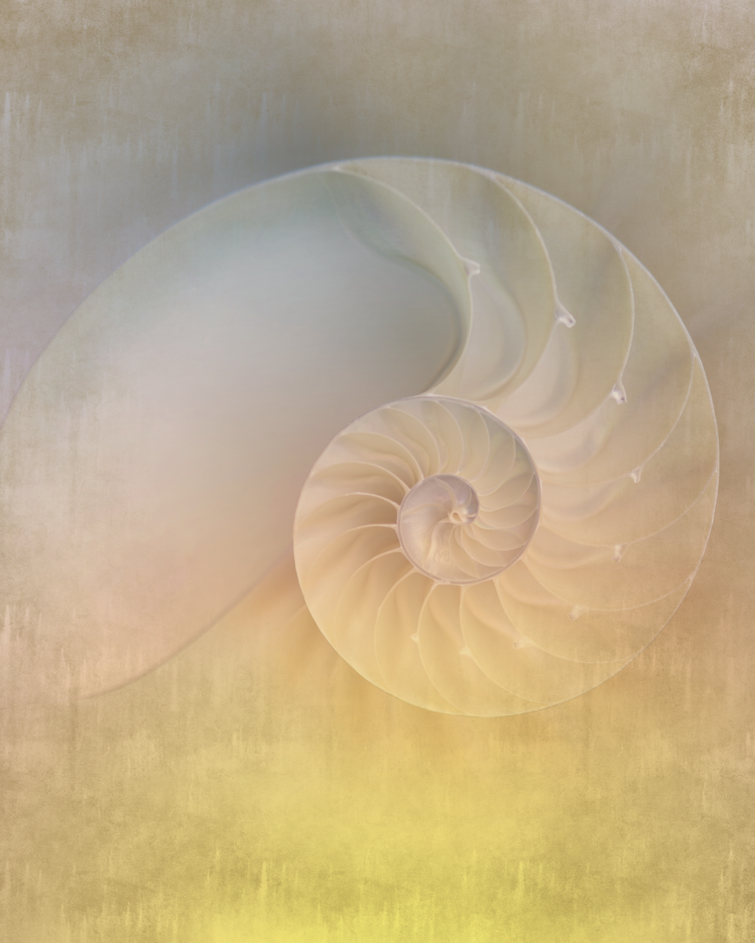 The Spiral of Remembrance -  Returning Again Isn’t Failure