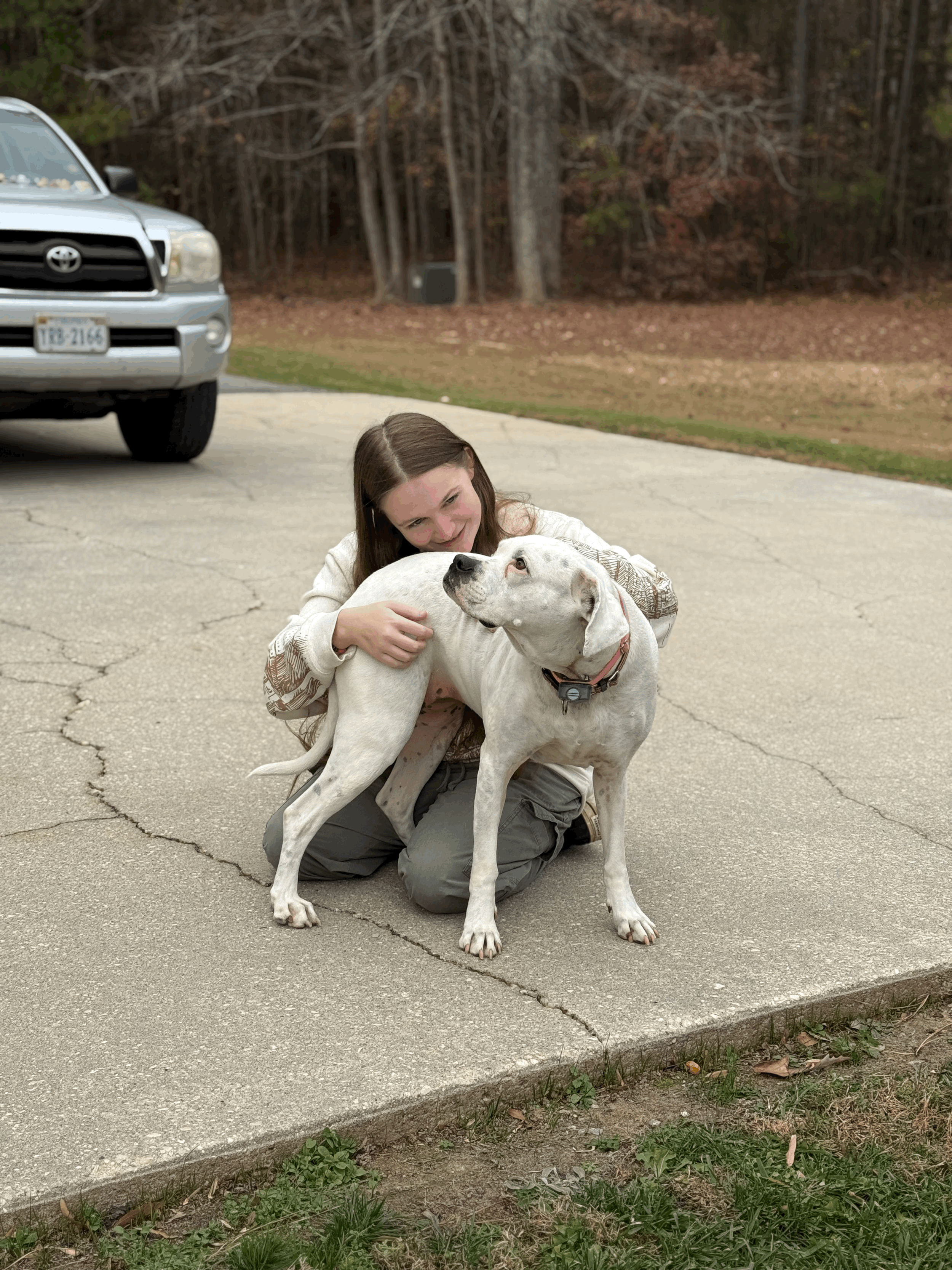 Daily Drop In Visits