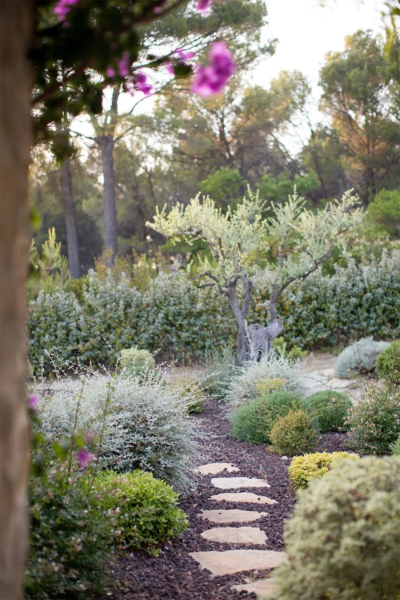 Katherine Miles Jones Photography Web - 008.jpeg