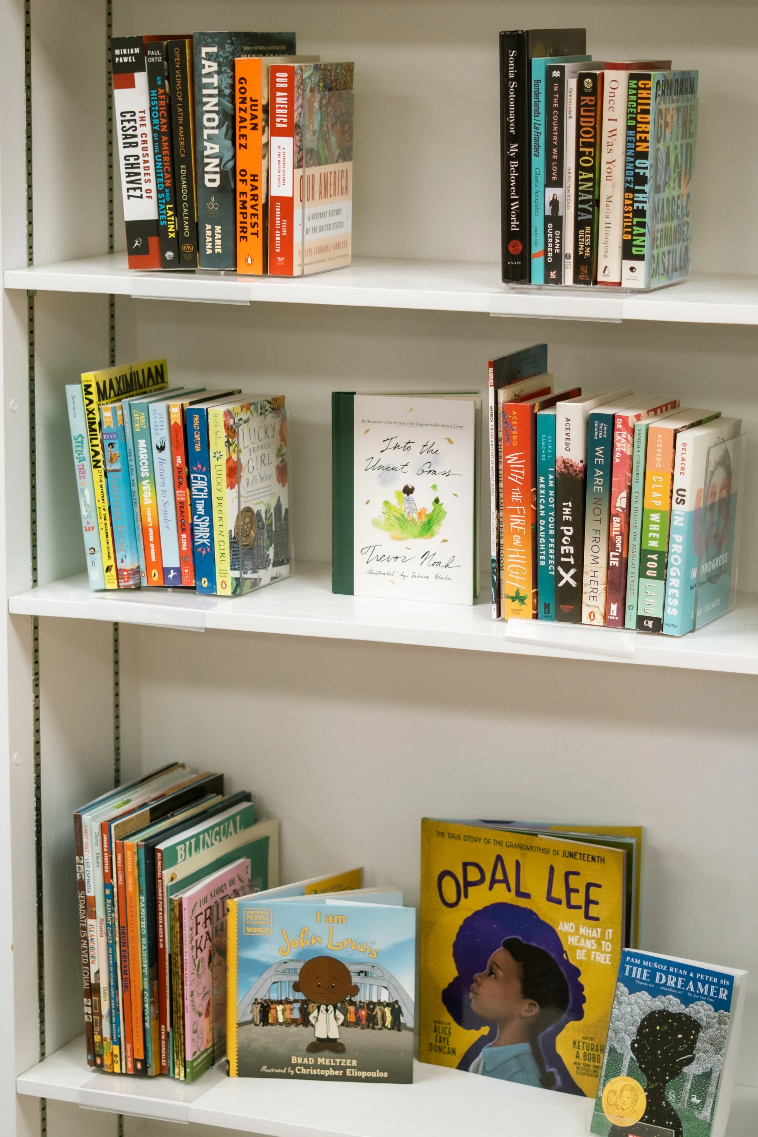 Bookshelves filled with children's books, including titles about diverse stories and authors, some titles include "Lucky Broken Girl," "John Lewis," and "Opal Lee".