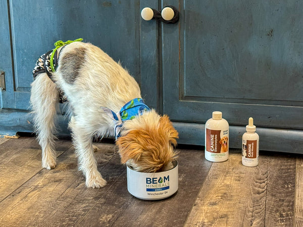 img_4-48_600x (1).png