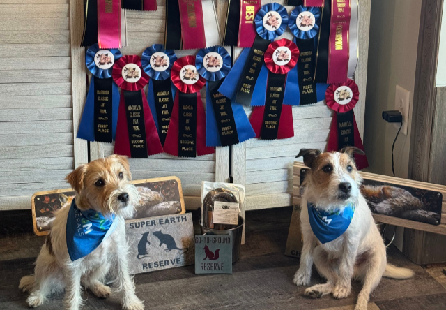 Featured on BEAM Minerals