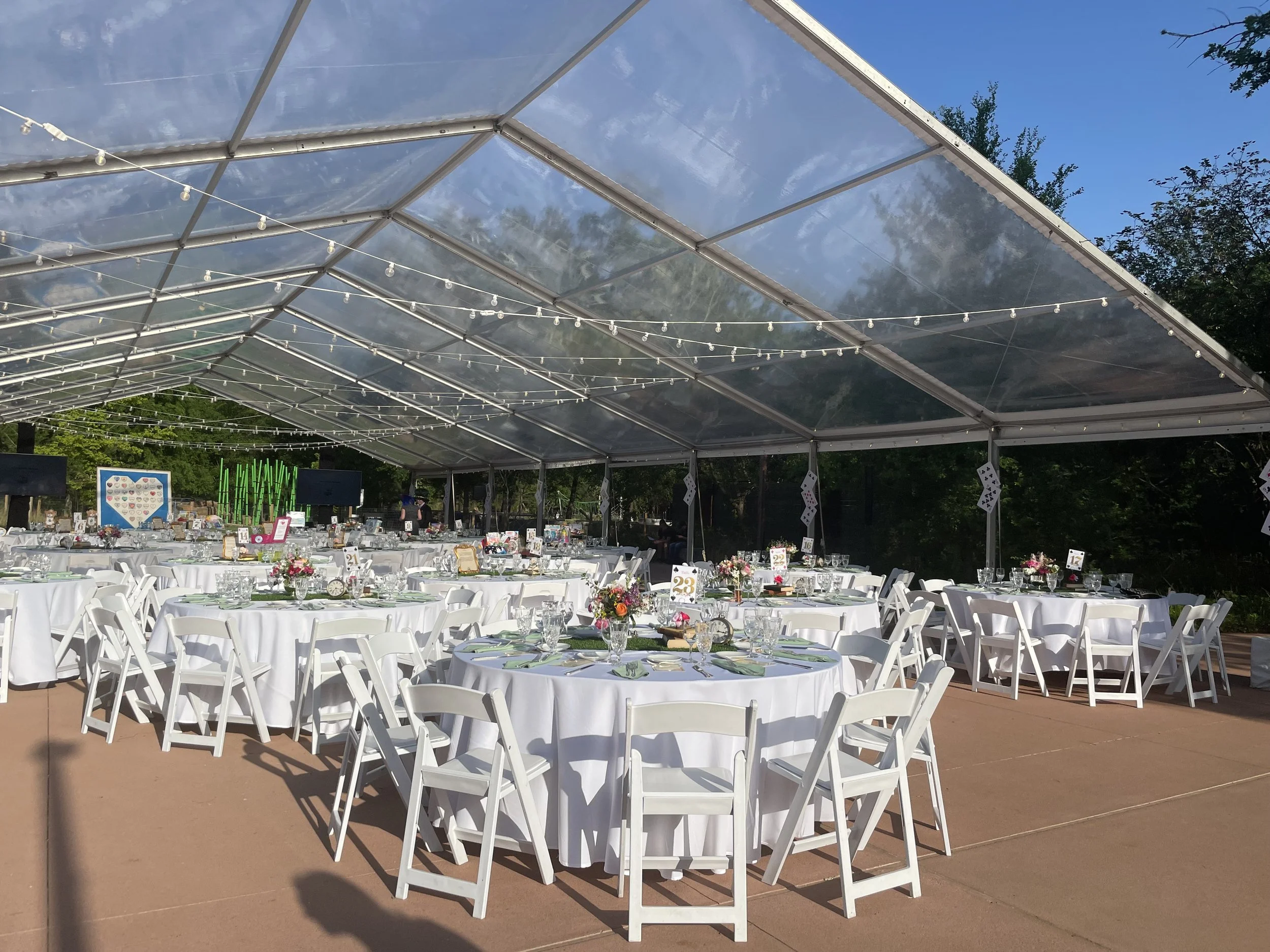 Outdoor event setup with round tables covered in white tablecloths, decorated with floral centerpieces and set with glassware and plates. White folding chairs surround the tables. A transparent tent shelters the area, with string lights hanging from 
