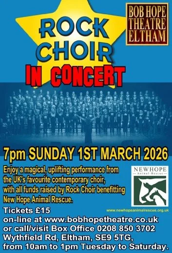 Image shows a poster advertising Rock Choir in concert with the Rock Choir logo of a yellow Star with the words Rock Choir across the front. Below are the words "In Concert" in red, and below that is a pale blue faded image of some Rock Choir singers