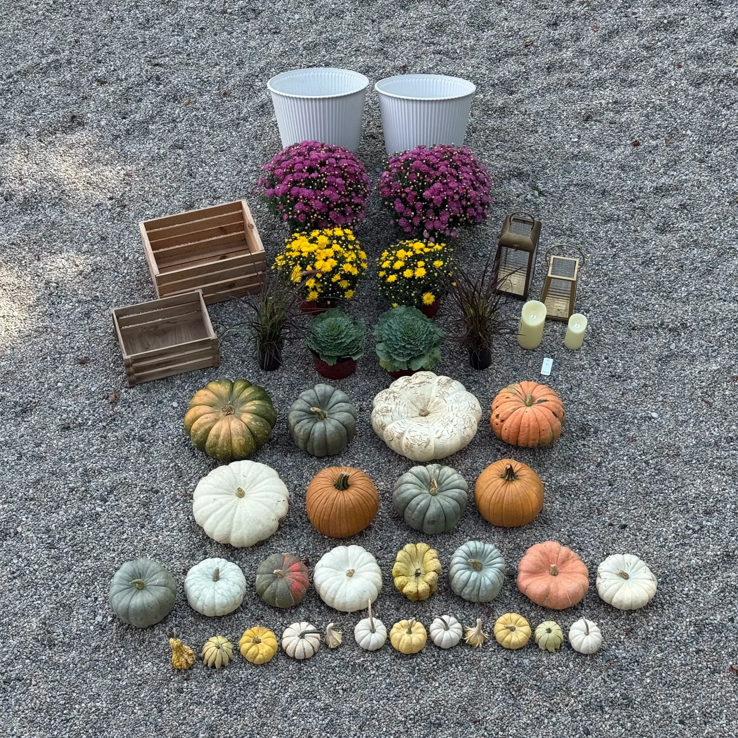 Porch+%2B+Palette+-+Fall+-+Muted+Medium+2.jpg