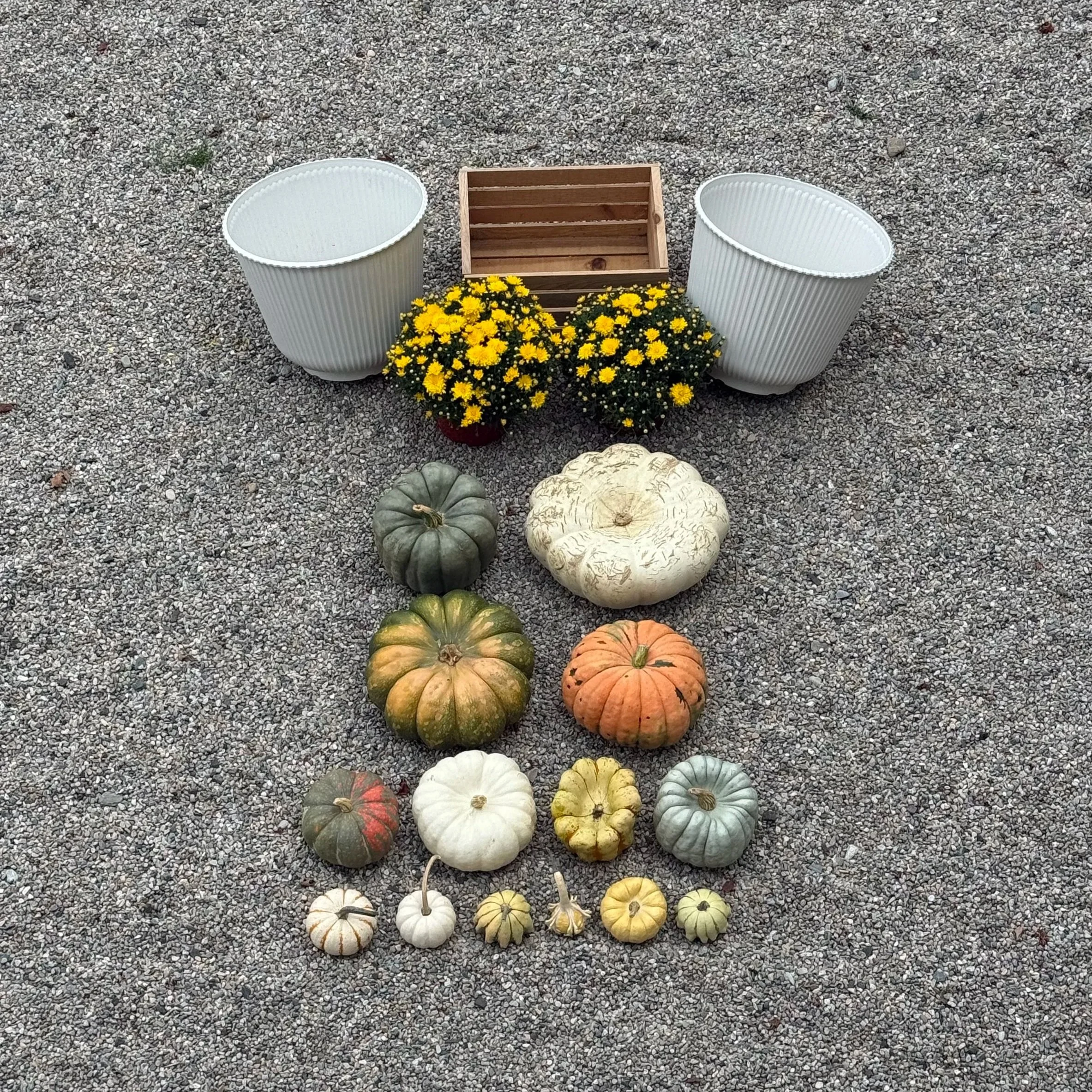 Porch+%2B+Palette+-+Fall+-+Muted+XS+1.jpg
