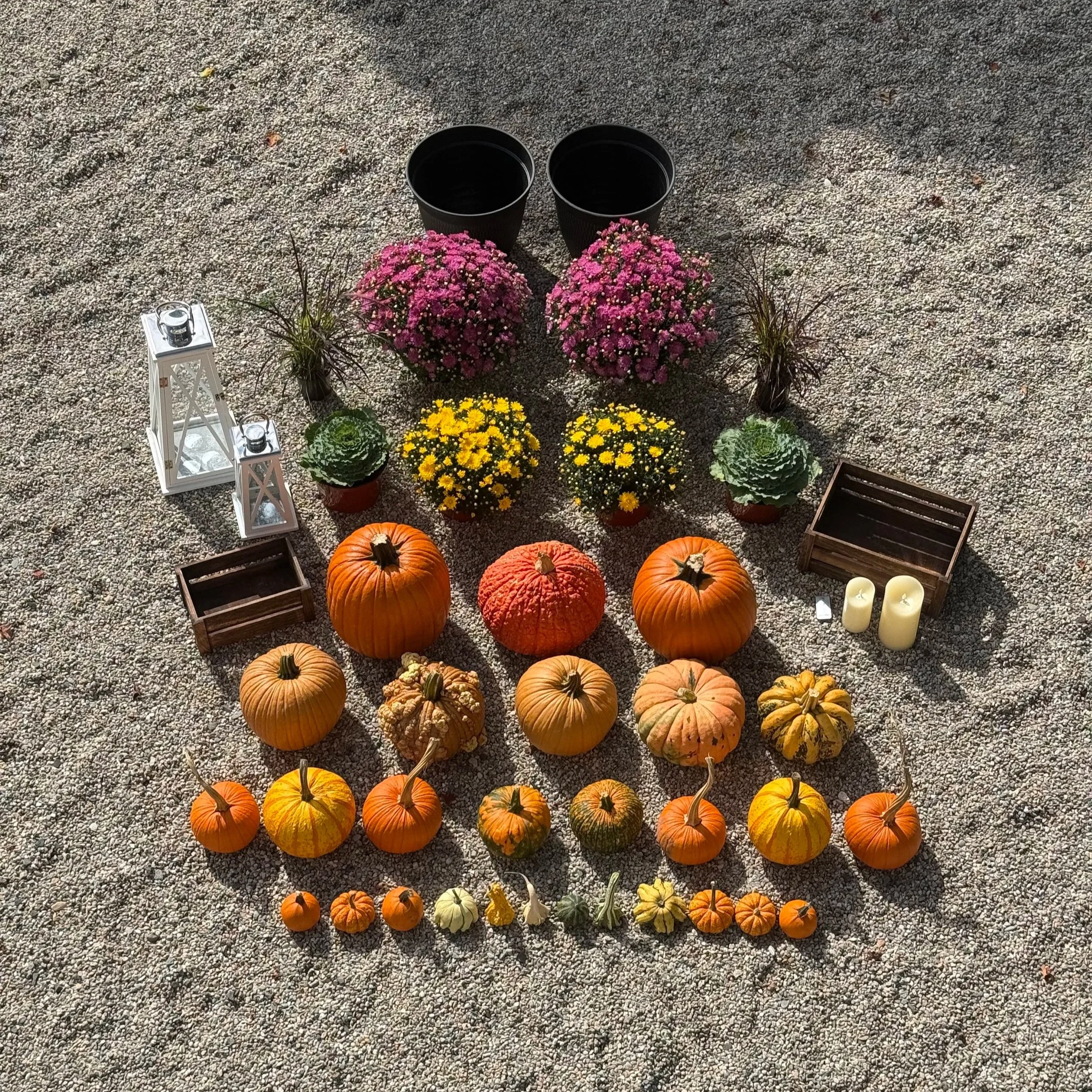 The Gathering | Traditional Fall