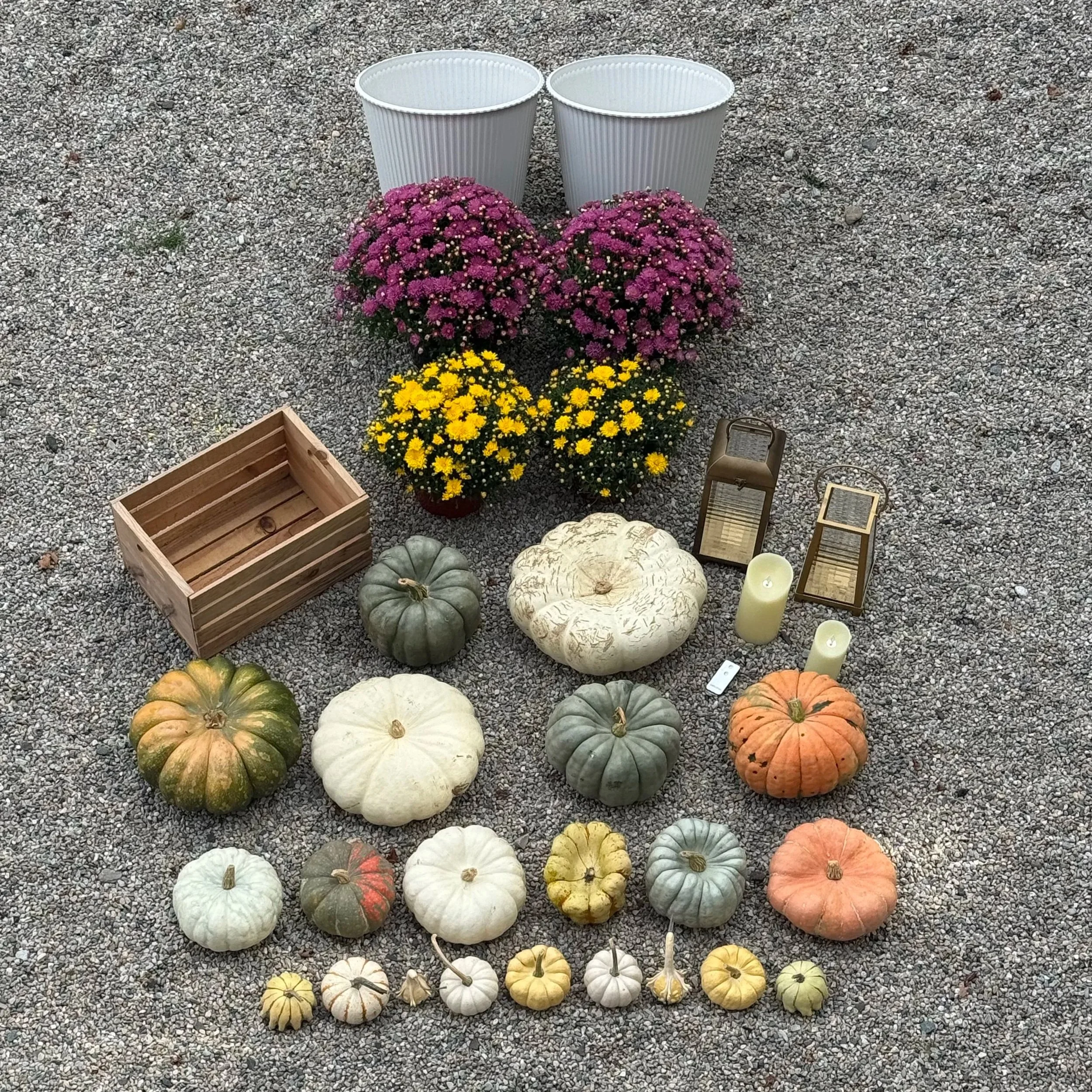 The Welcome | Soft Fall