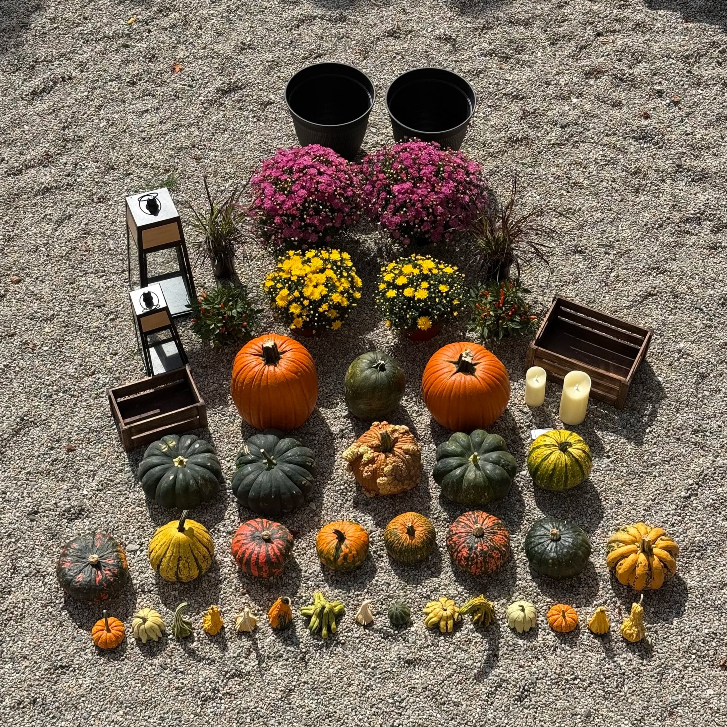 Porch+%2B+Palette+-+Fall+-+Deep+Tones+Medium+1.jpg