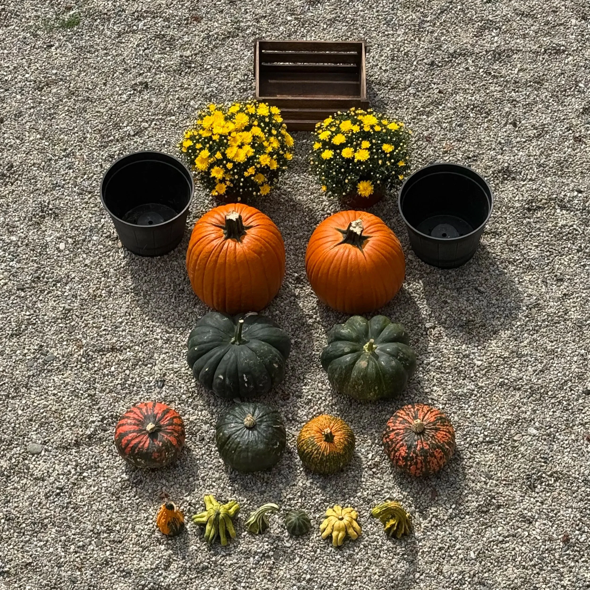 Porch+%2B+Palette+-+Fall+-+Deep+Tones+XS+1.jpg