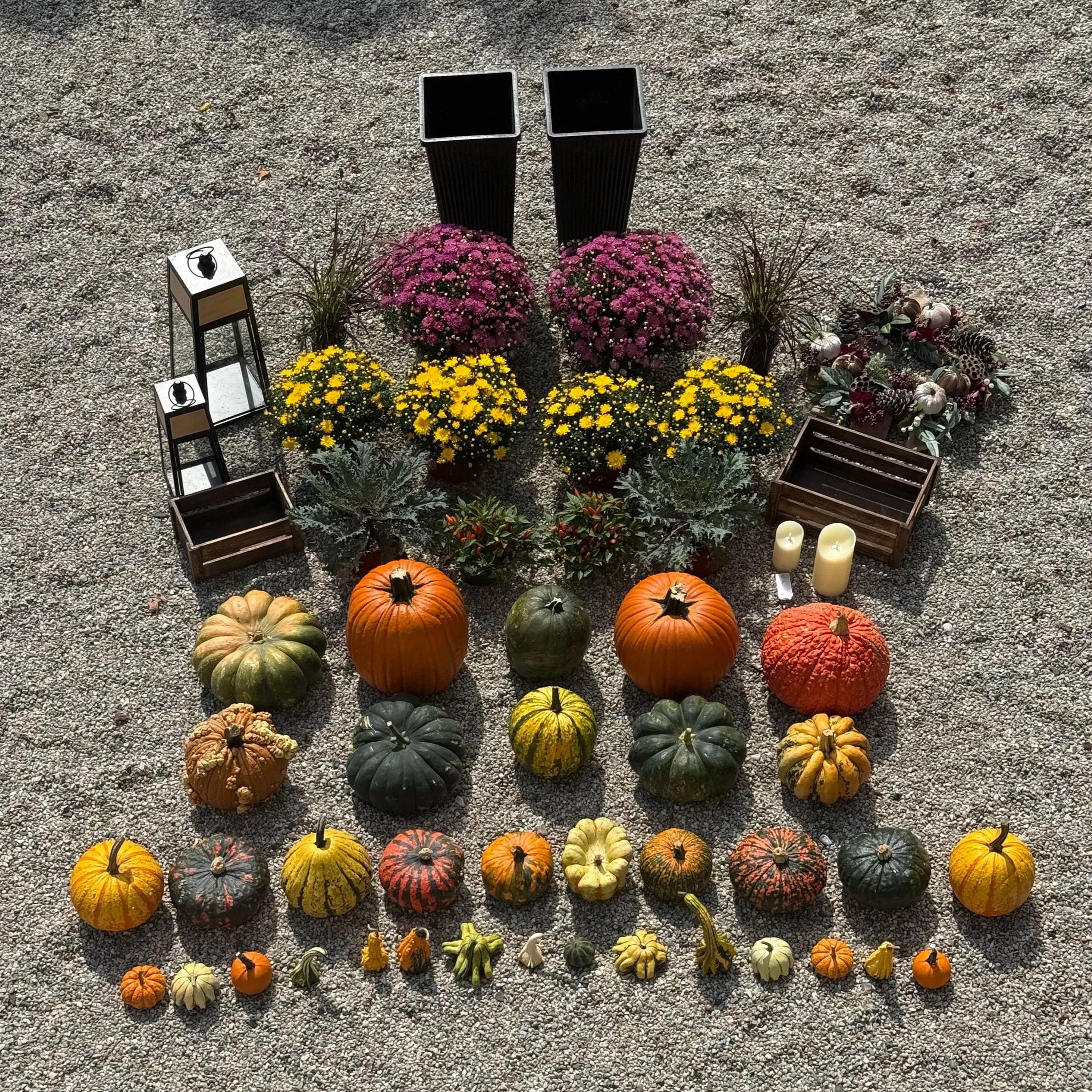 Porch+%2B+Palette+-+Fall+-+Deep+Tones+Large+1.jpg