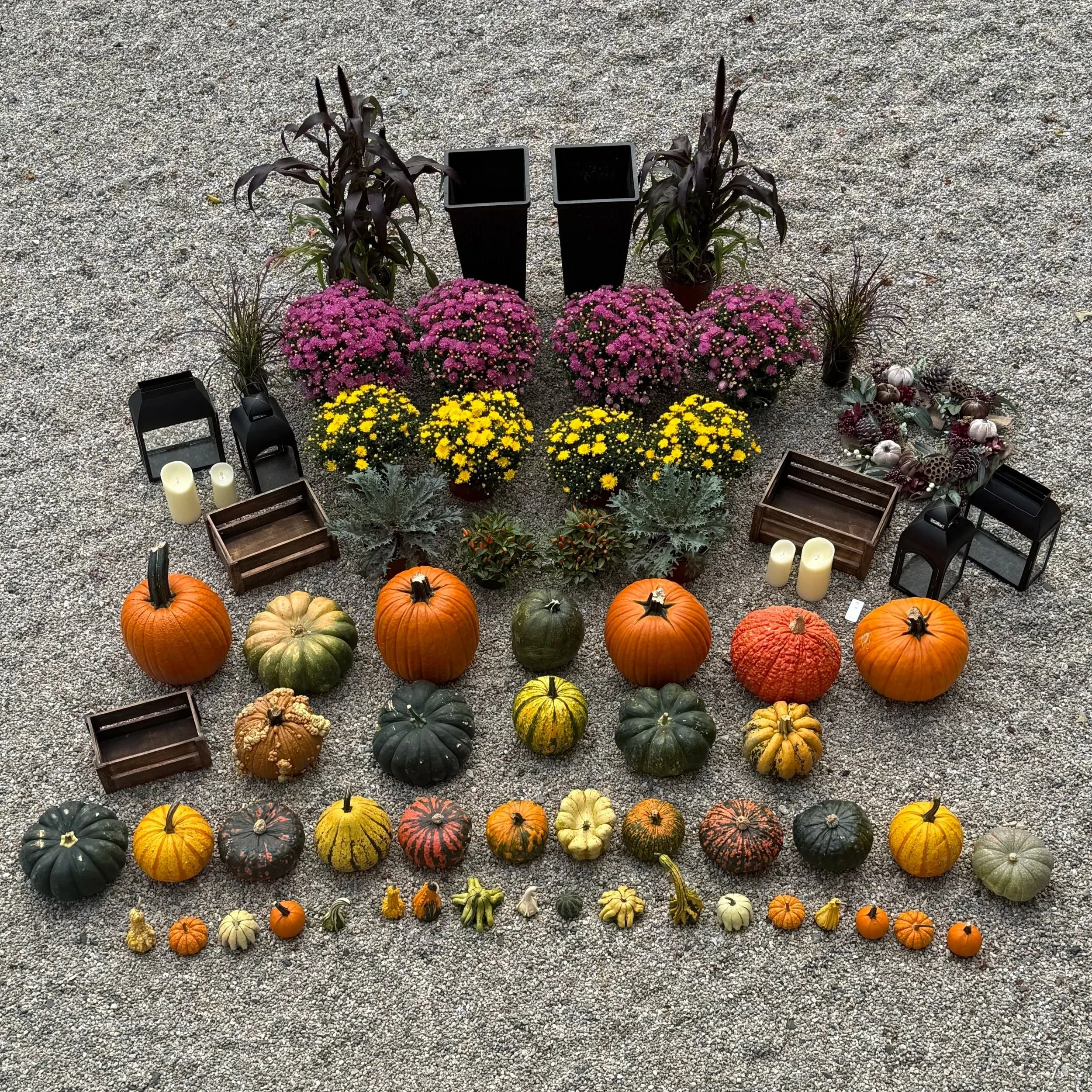 Porch+%2B+Palette+-+Fall+-+Deep+Tones+XL+1.jpg
