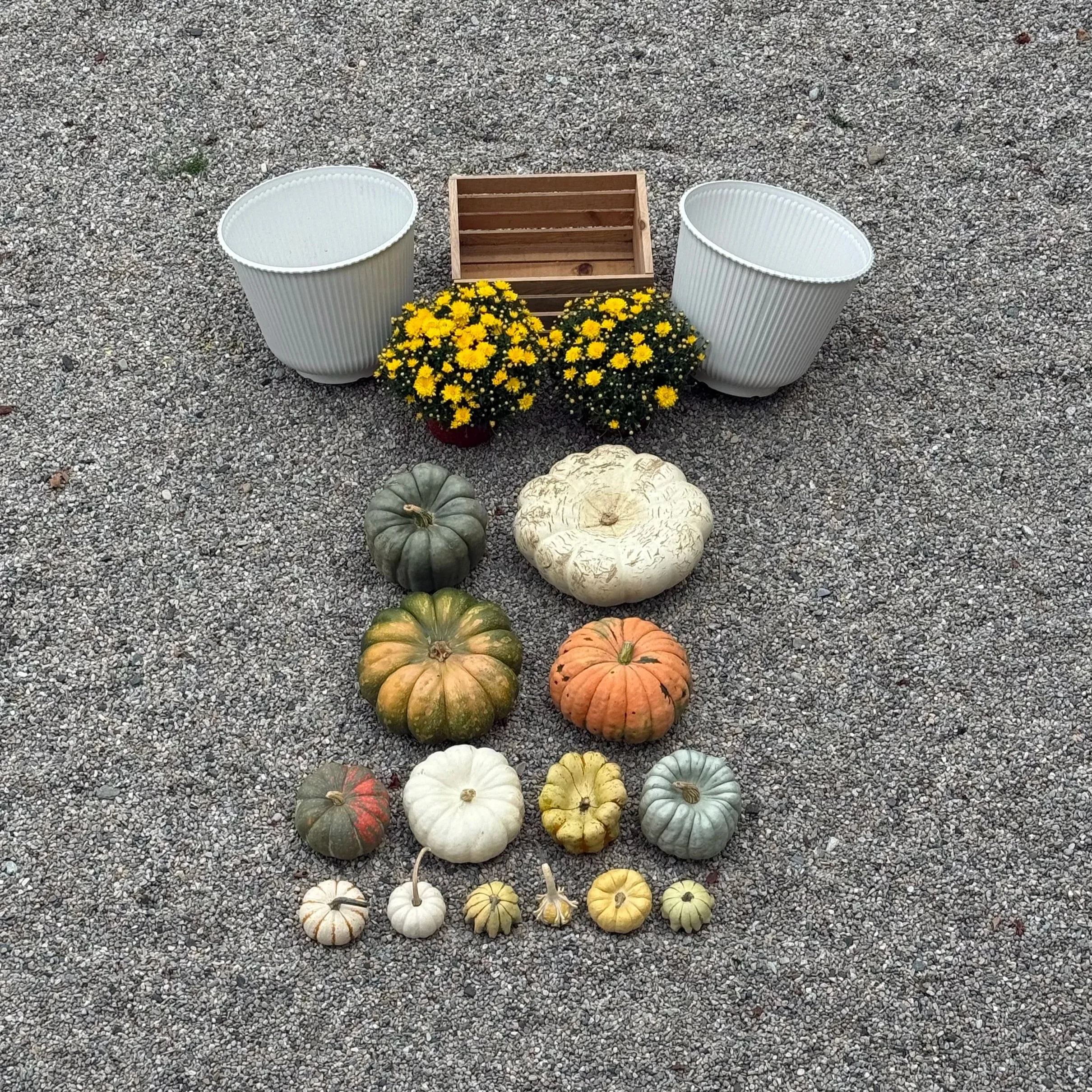 The Accent | Soft Fall