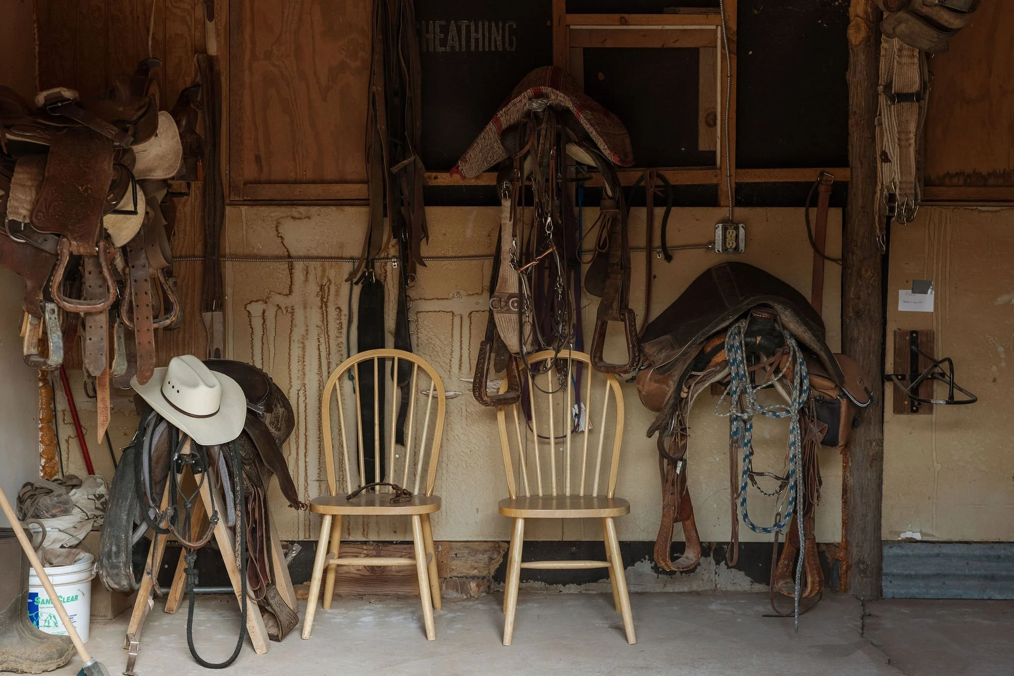 Two wooden chairs in a stable or barn with horse saddles, bridles, and riding gear hanging on the wall behind them.