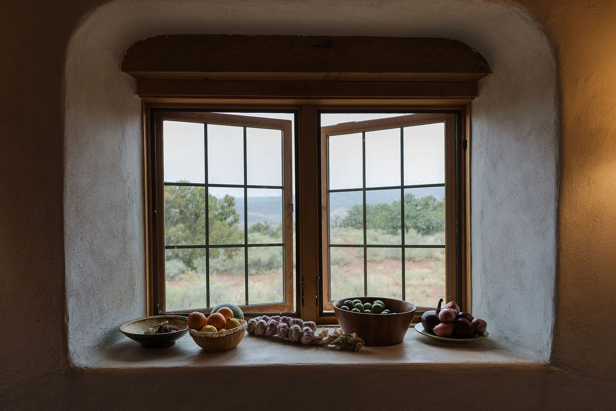 A windowsill with various bowls and garlic, with a view of trees and a field outside on a rainy day.