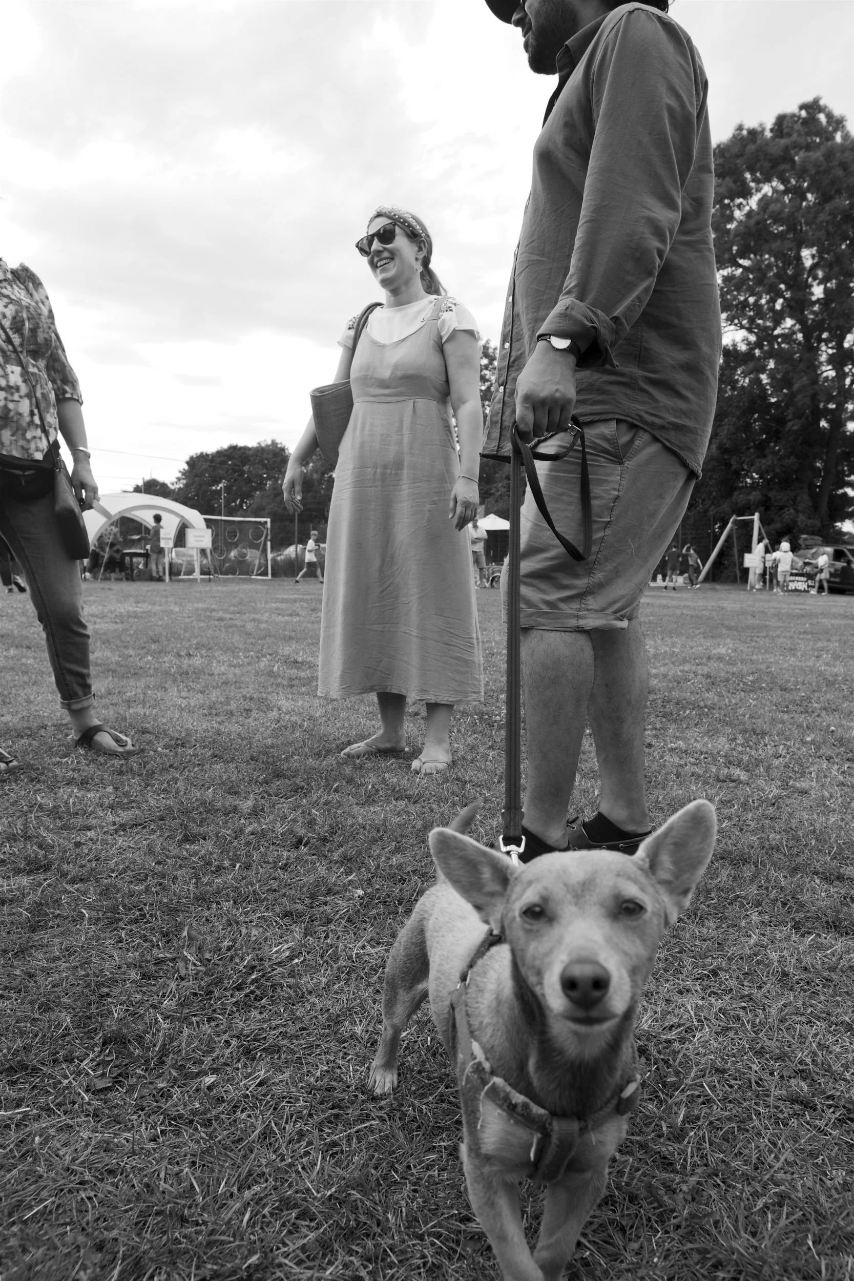 Small inquisitive dog at the Little Horwood village fete. Black and white.