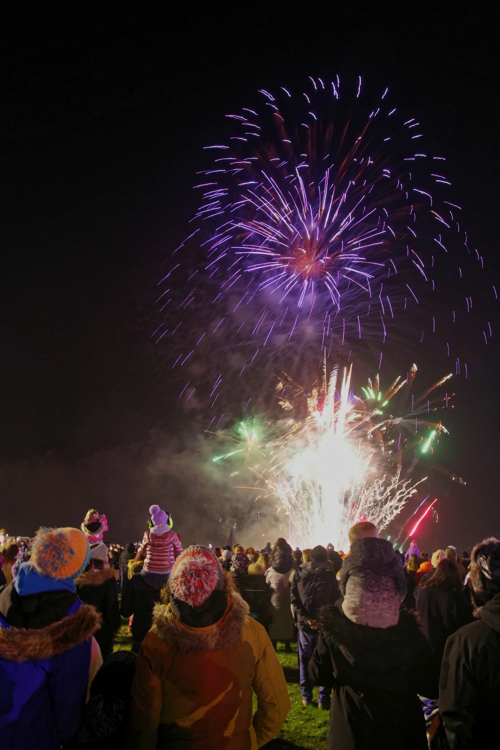 Adults and children look up at a professional firework display.