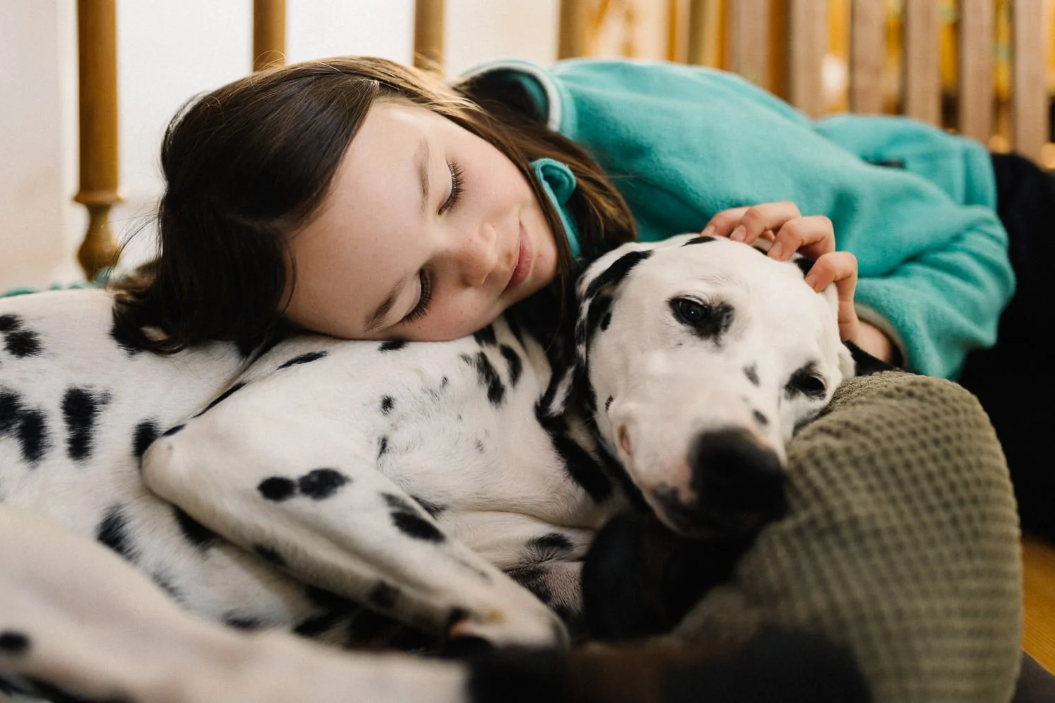 Kind liegt mit geschlossenen Augen und einem Dalmatiner-Hund auf einem Sofa und umarmt ihn liebevoll.