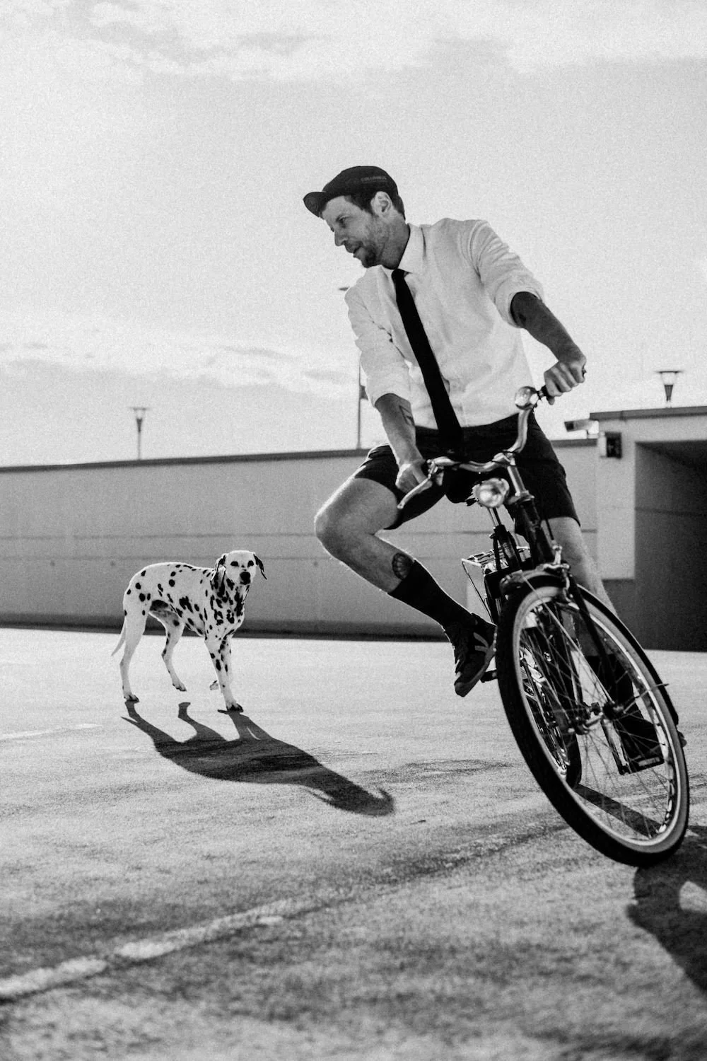 Fotograf Potsdam auf Fahrrad mit Dalmatiner