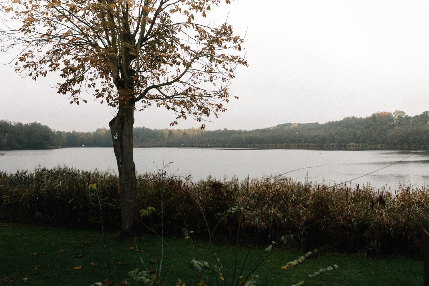 Blick auf den Bauernsee Dobbrikow Brandenburg