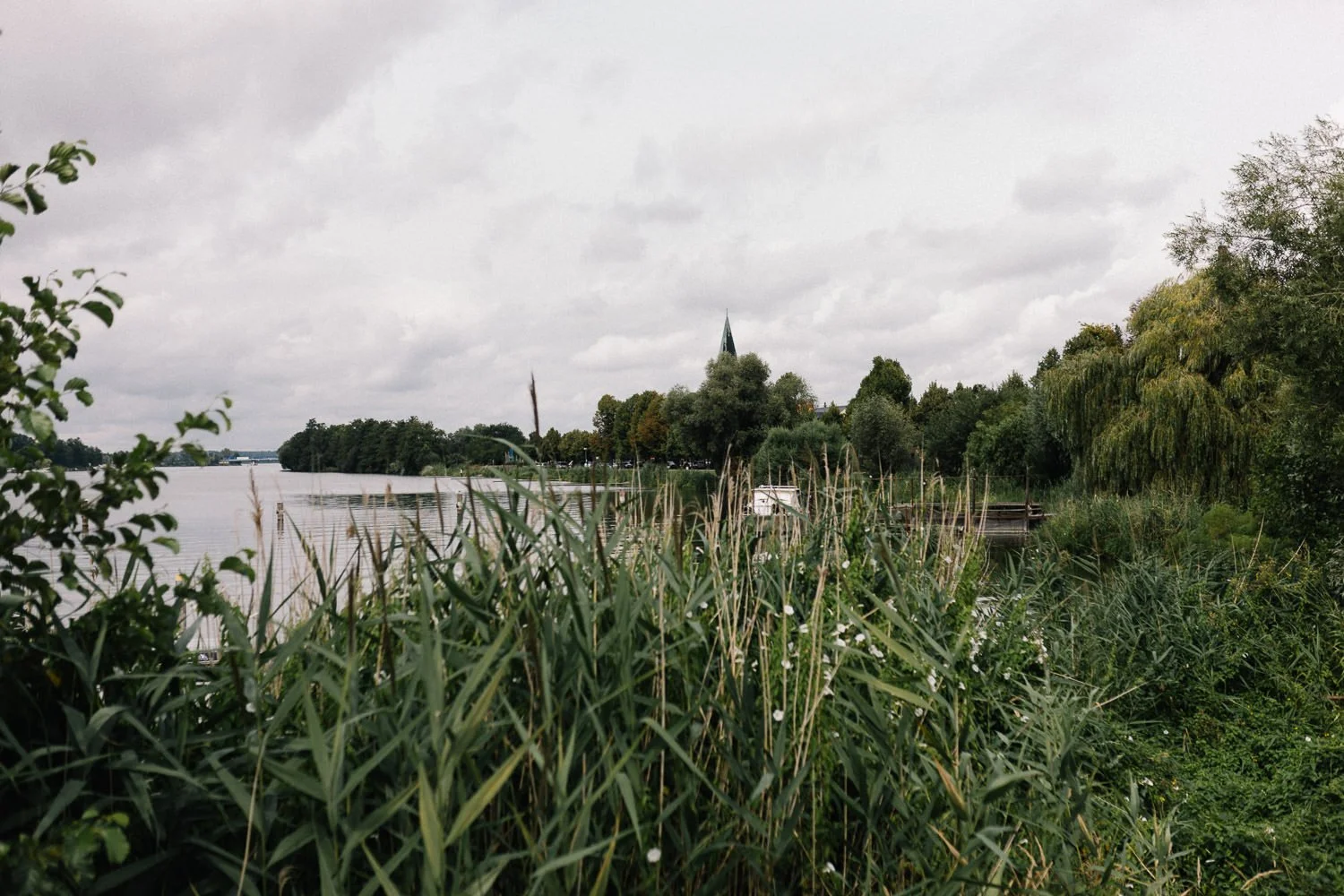 Blick über Wasser auf Insel Werder Havel