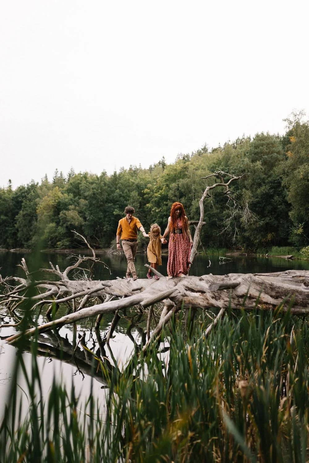 Eine Familie aus zwei Erwachsenen und einem Kind wandert auf einem umgestürzten Baumstamm über einen See in einer naturnahen Umgebung mit grünem Laub. Im Hintergrund sind Bäume und Wasser sichtbar.