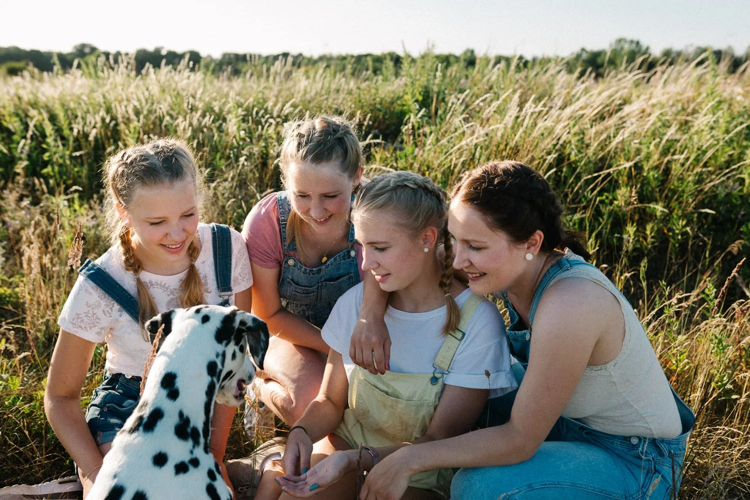 Fünf Menschen, vier junge Mädchen und eine erwachsene Frau, sitzen im hohen Gras auf einer Wiese, die von Getreide umgeben ist, schauen auf einen Dalmatiner-Hund.