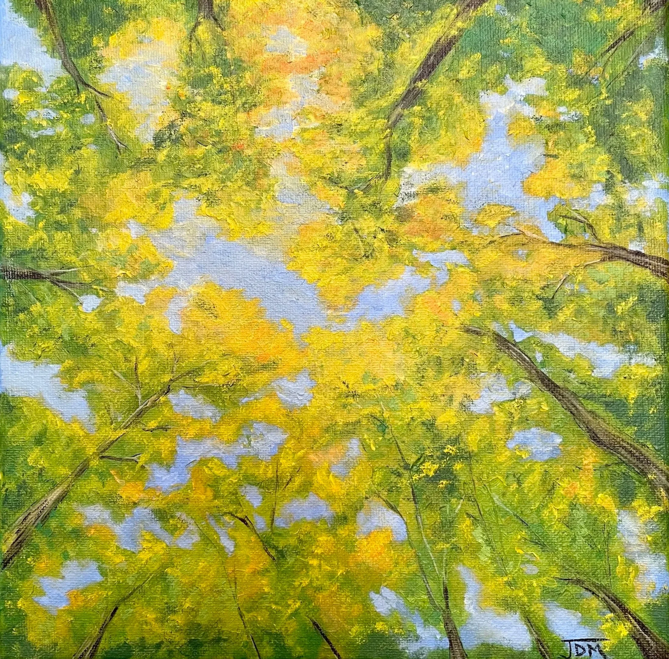 Sunlit Canopy - Oil Painting