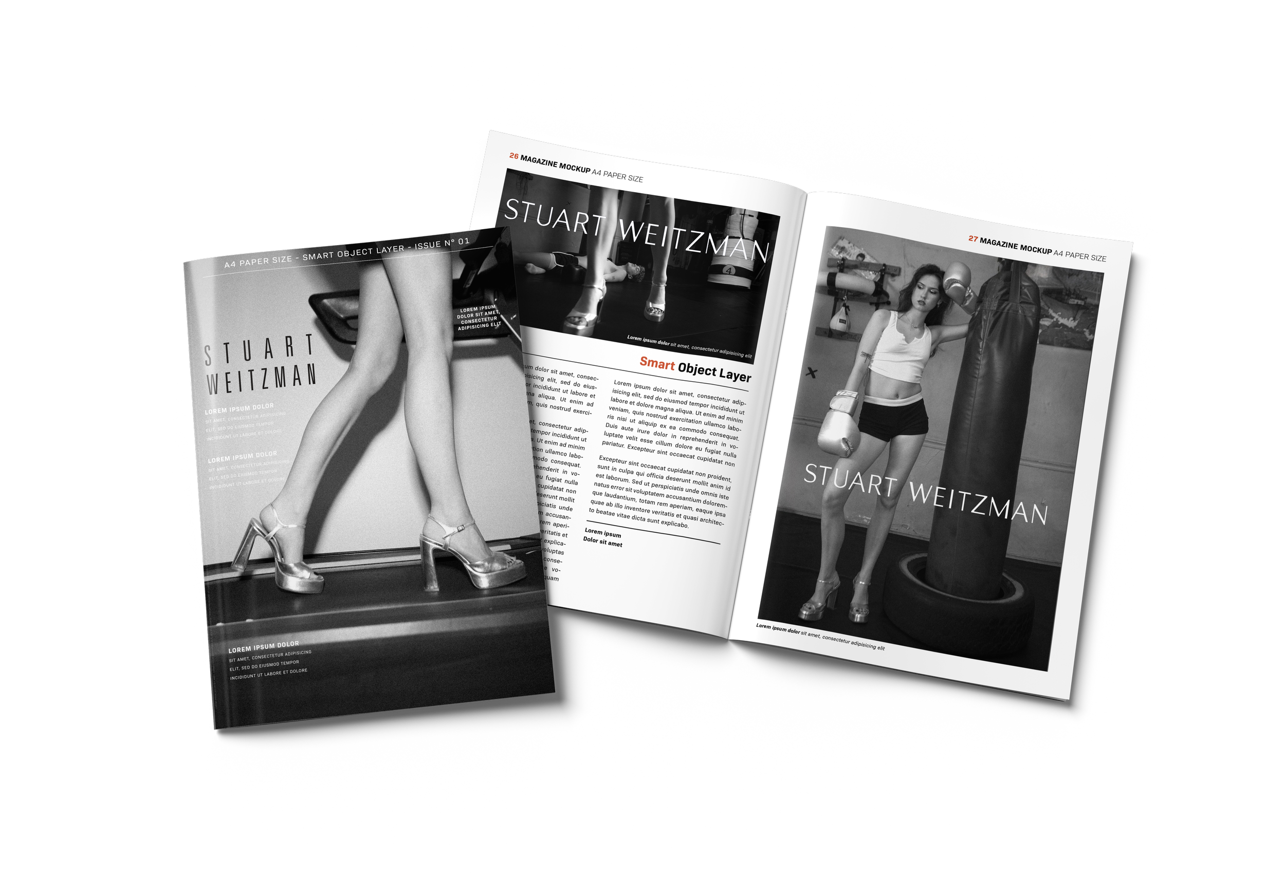 magazine mockup.png