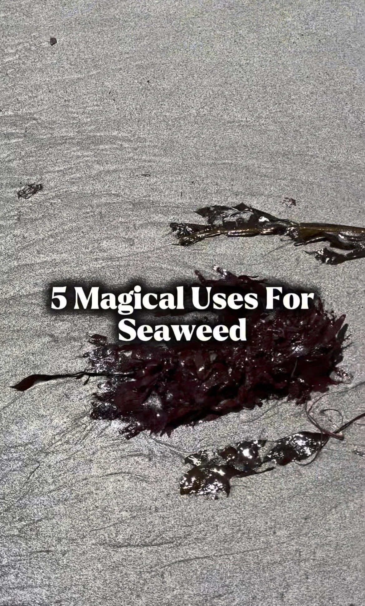 5 Magical Uses For Seaweed