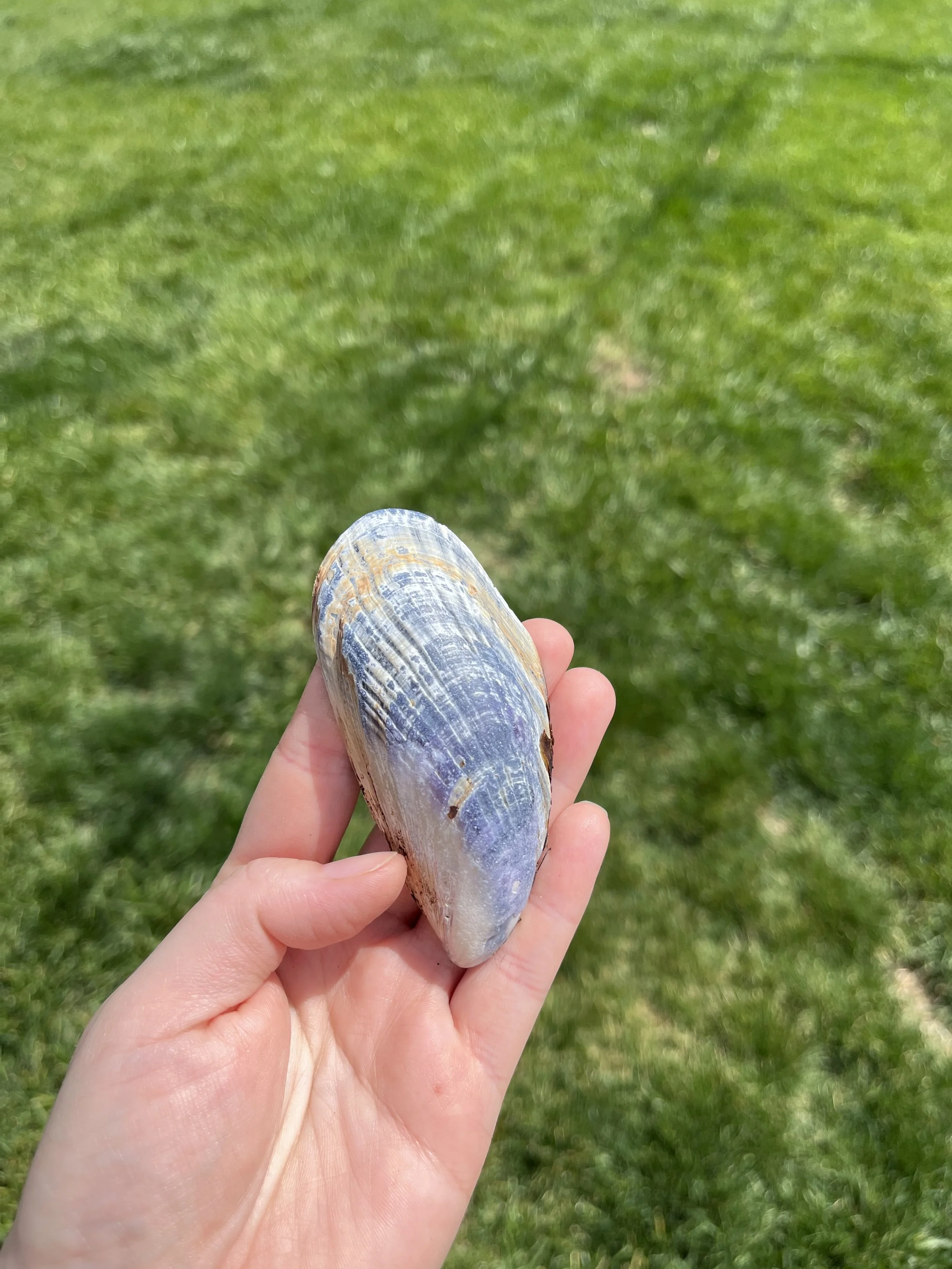 Blue Apaite Small (3).jpeg