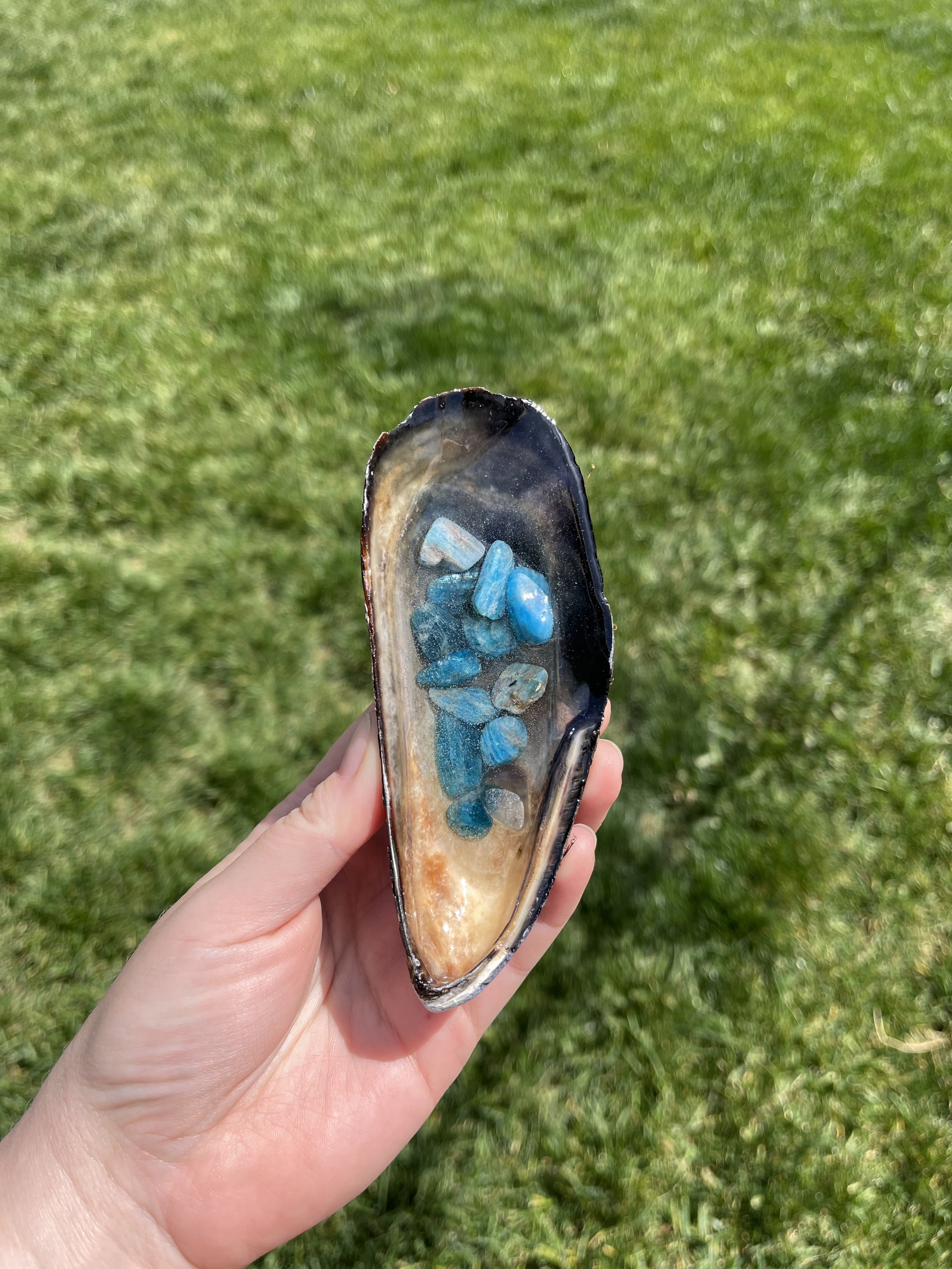 Blue Apatite Large Shell 3.jpeg