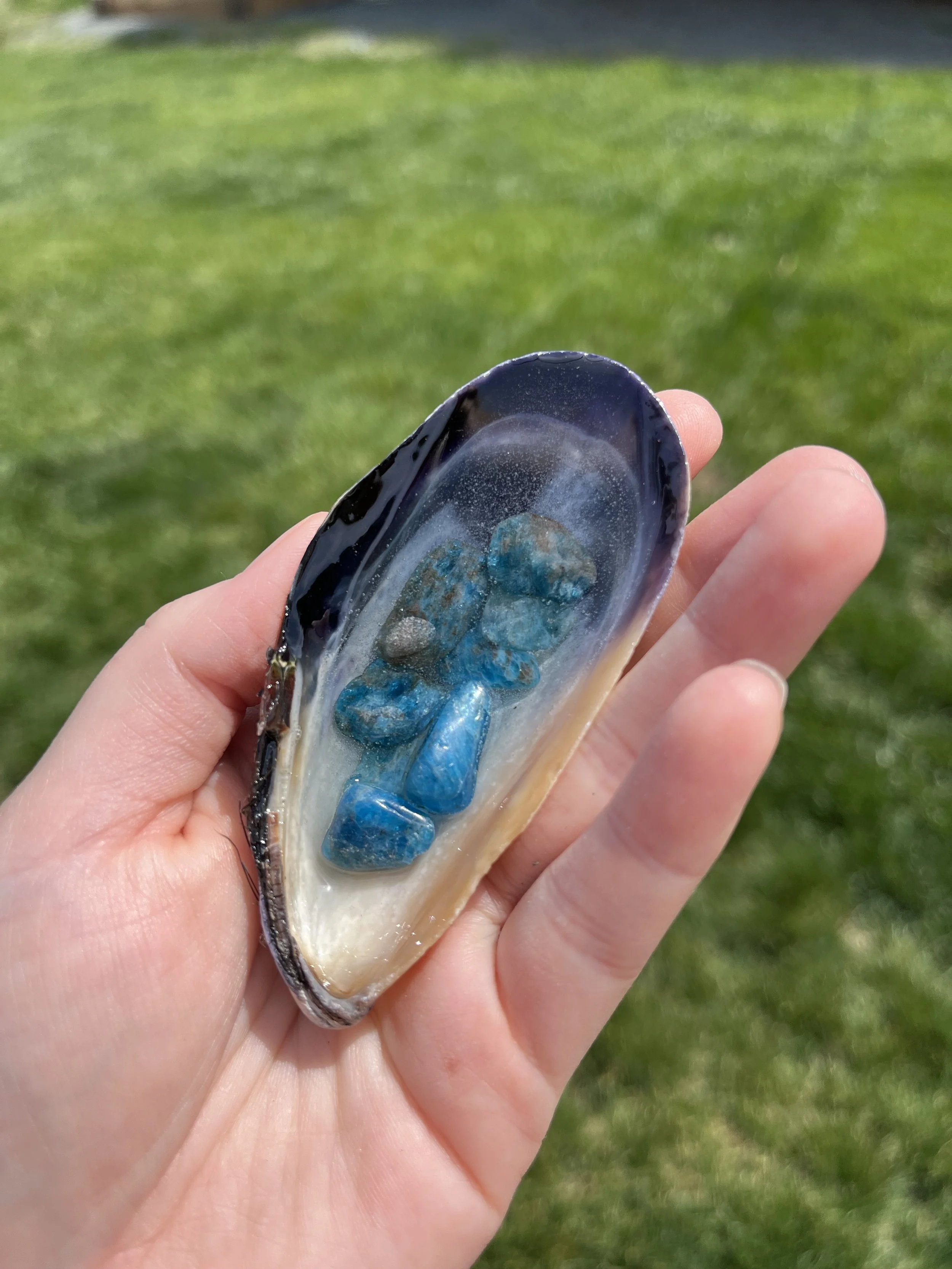 Sea Witch Crystal Shell Small — Blue Apatite